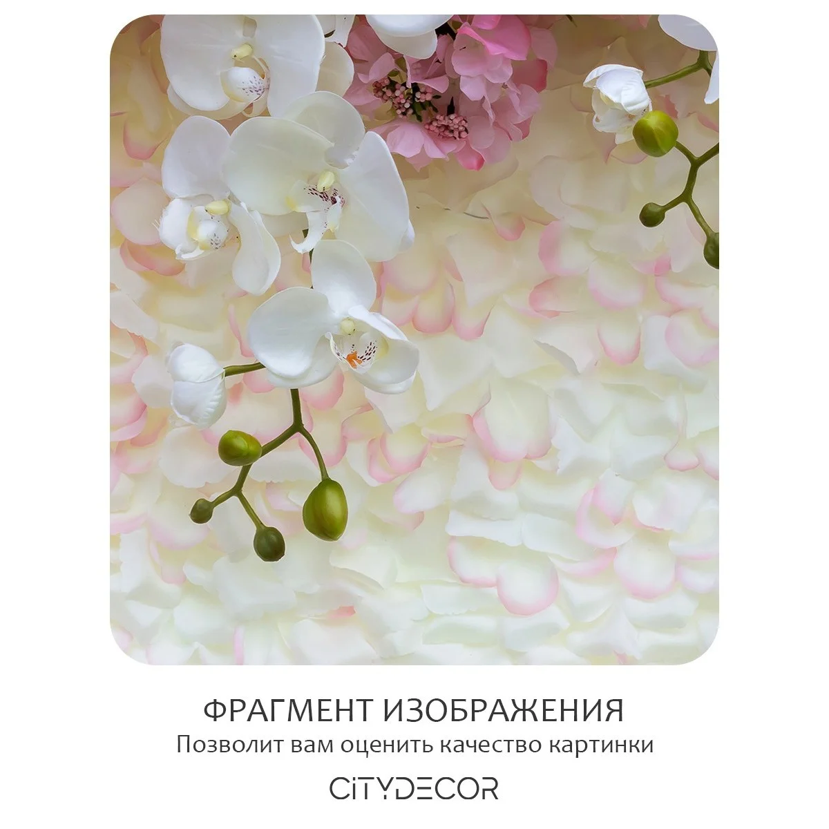 Фотообои рулонные Citydecor Цветы и Растения 50 на флизелиновой основе 300x260 см