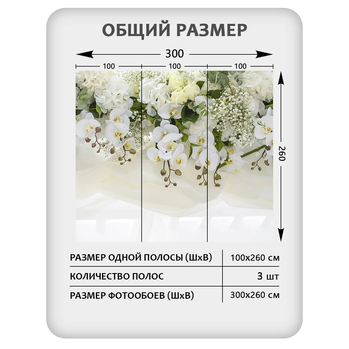 Фотообои рулонные Citydecor Цветы и Растения 52 на флизелиновой основе 300x260 см