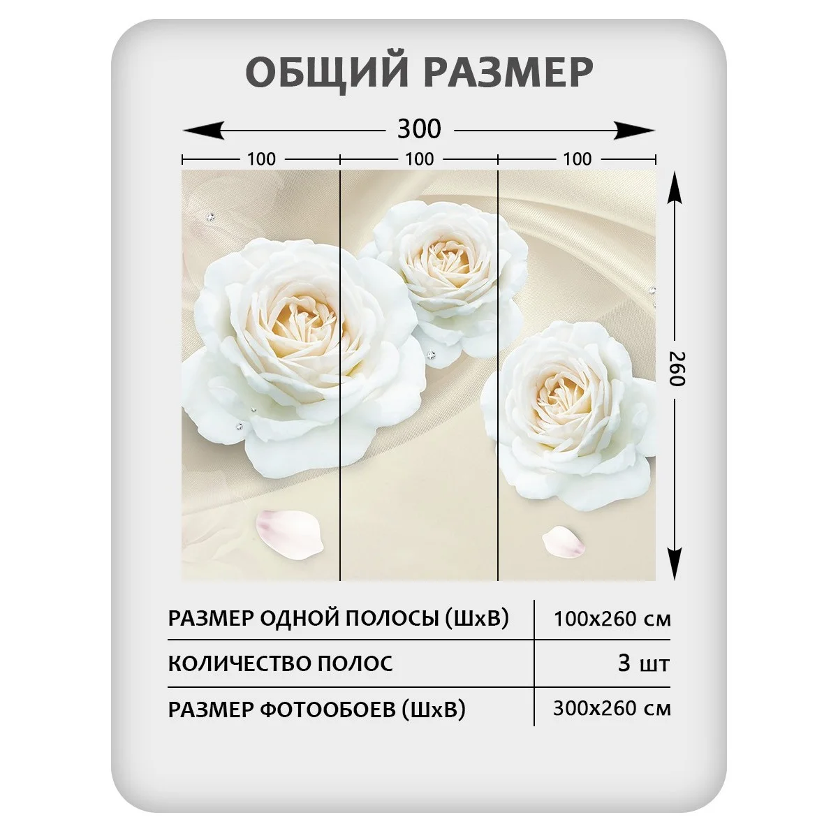 Фотообои рулонные Citydecor Цветы и Растения 57 на флизелиновой основе 300x260 см