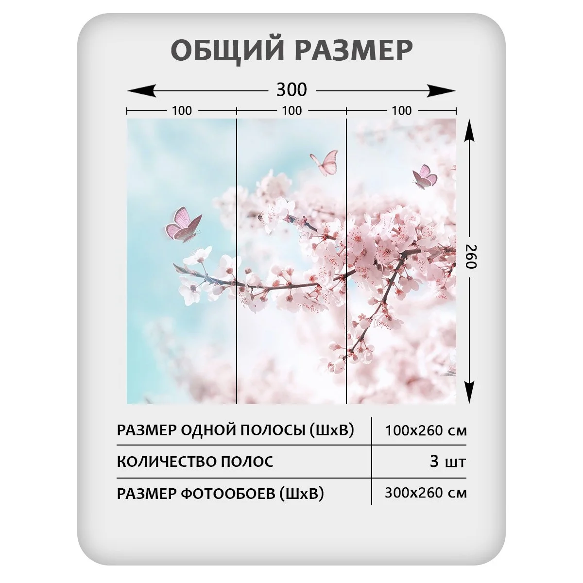 Фотообои рулонные Citydecor Цветы и Растения 67 на флизелиновой основе 300x260 см