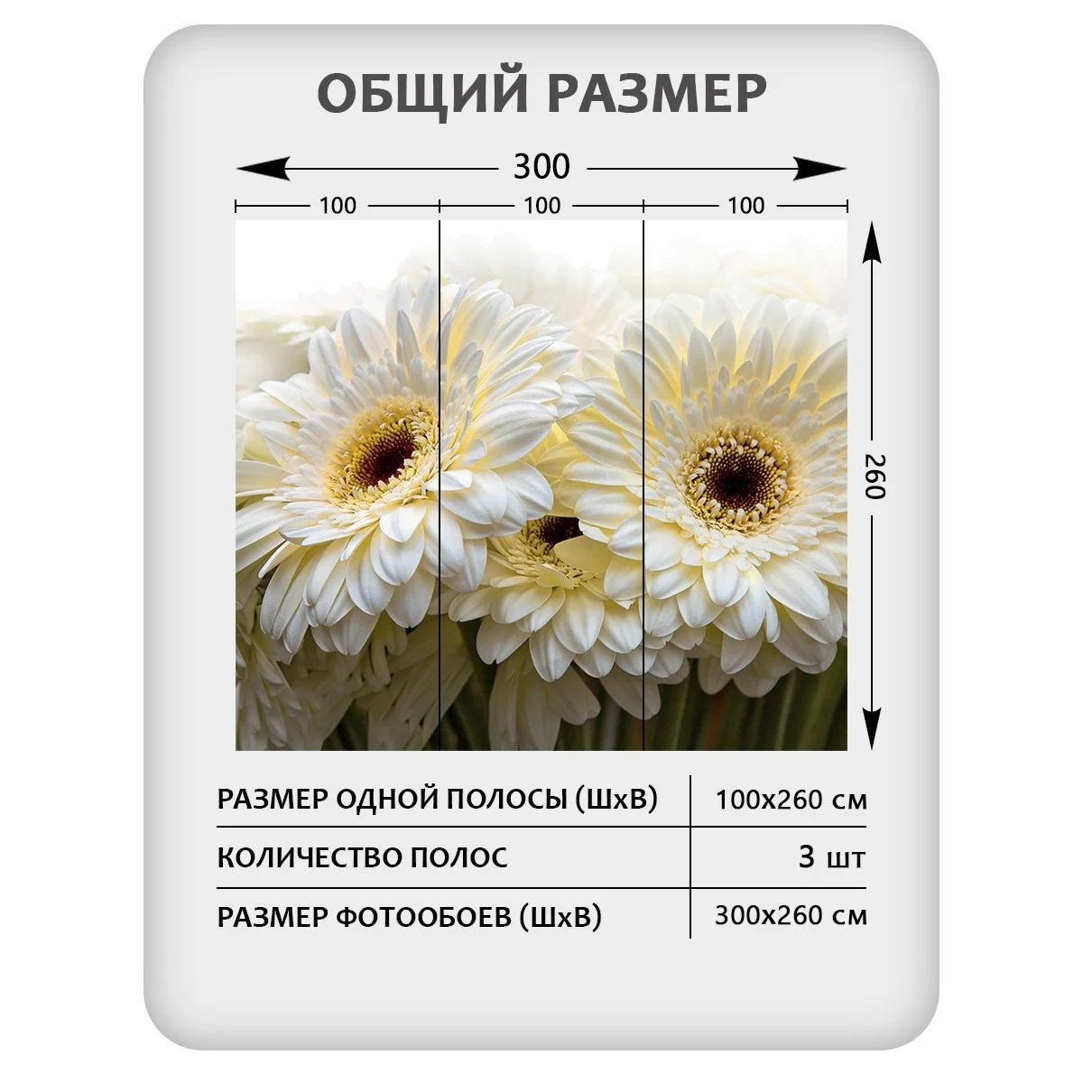 Фотообои рулонные Citydecor Цветы и Растения 68 на флизелиновой основе 300x260 см