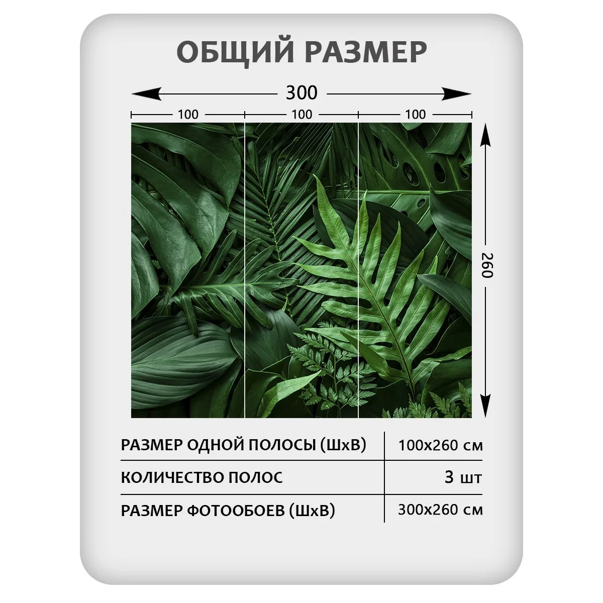 Фотообои рулонные Citydecor Цветы и Растения 73 на флизелиновой основе 300x260 см