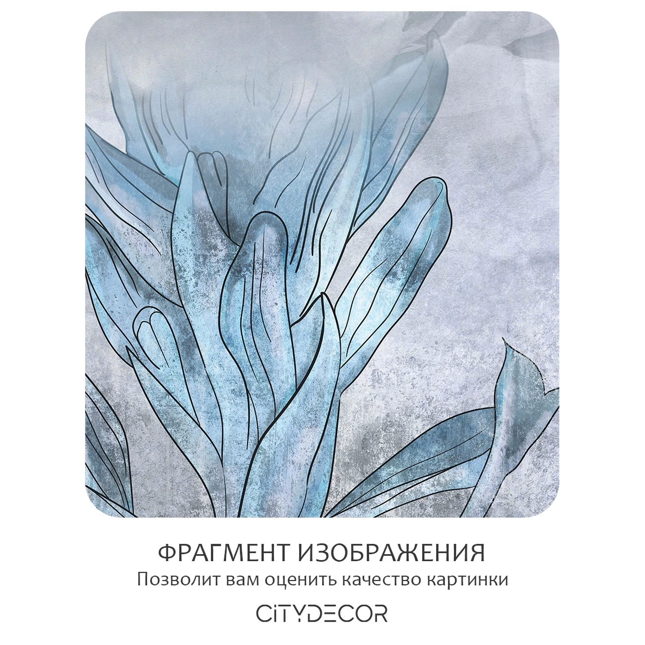 Фотообои рулонные Citydecor Flower town 33 на флизелиновой основе 300x260 см
