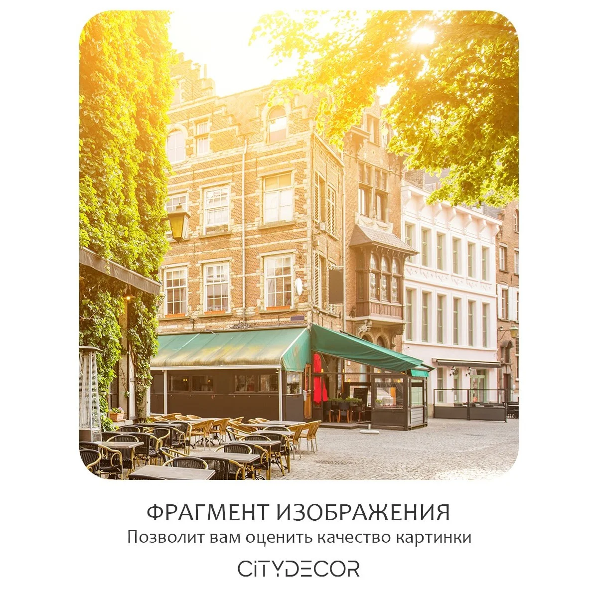Фотообои рулонные Citydecor Фреска 36 на флизелиновой основе 300x260 см