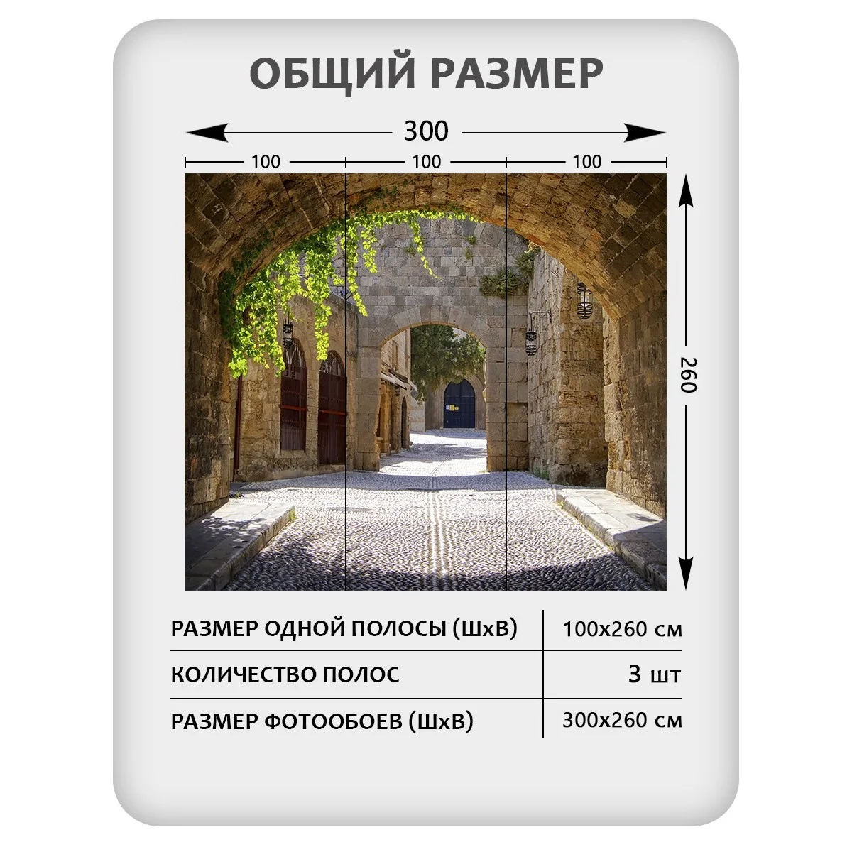 Фотообои рулонные Citydecor Фреска 40 на флизелиновой основе 300x260 см