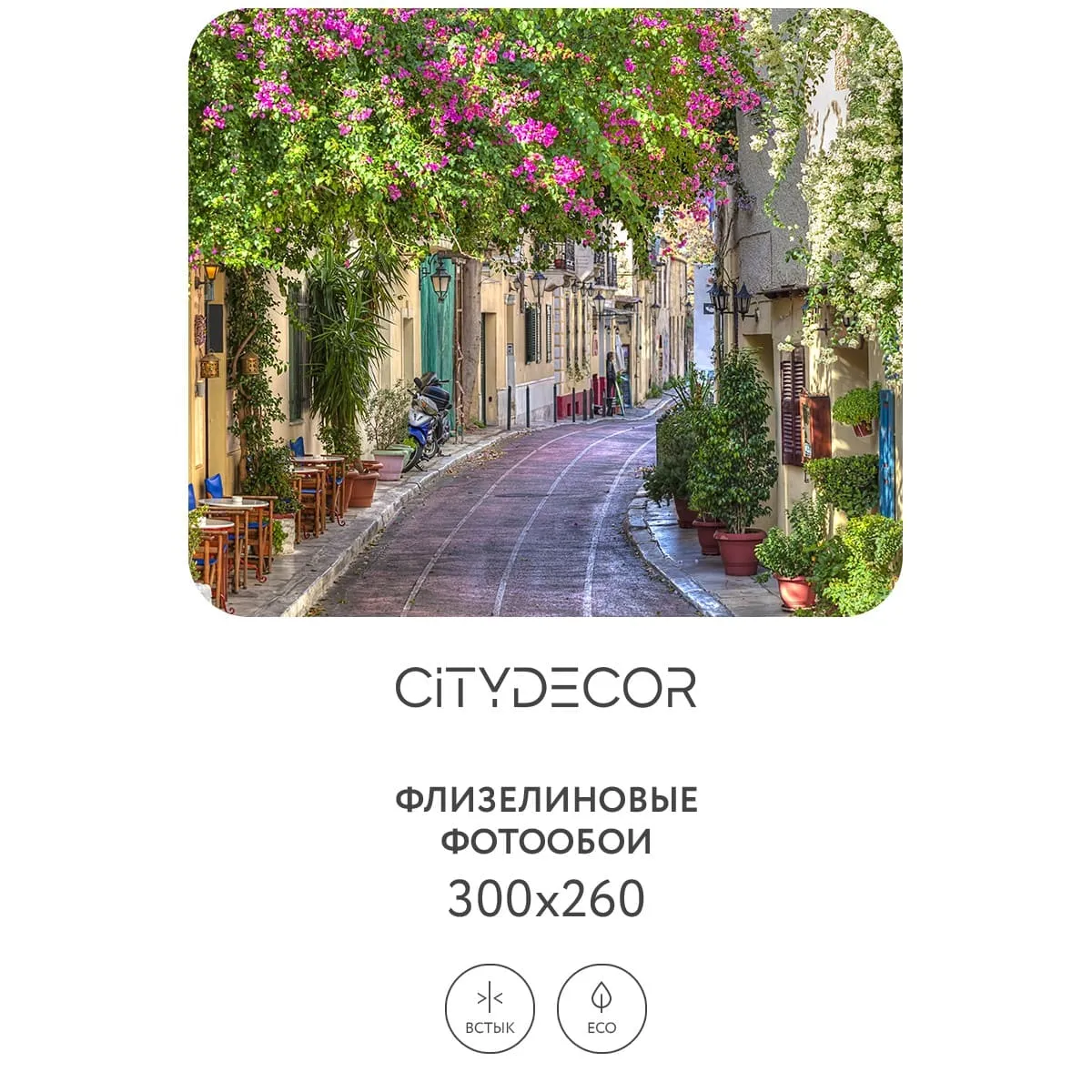 Фотообои рулонные Citydecor Фреска 54 на флизелиновой основе 300x260 см