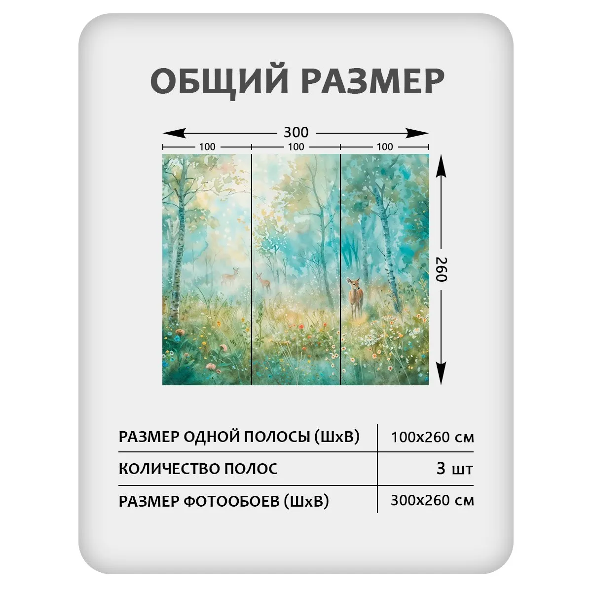 Фотообои рулонные Citydecor Magic Forest 26 на флизелиновой основе 300x260 см