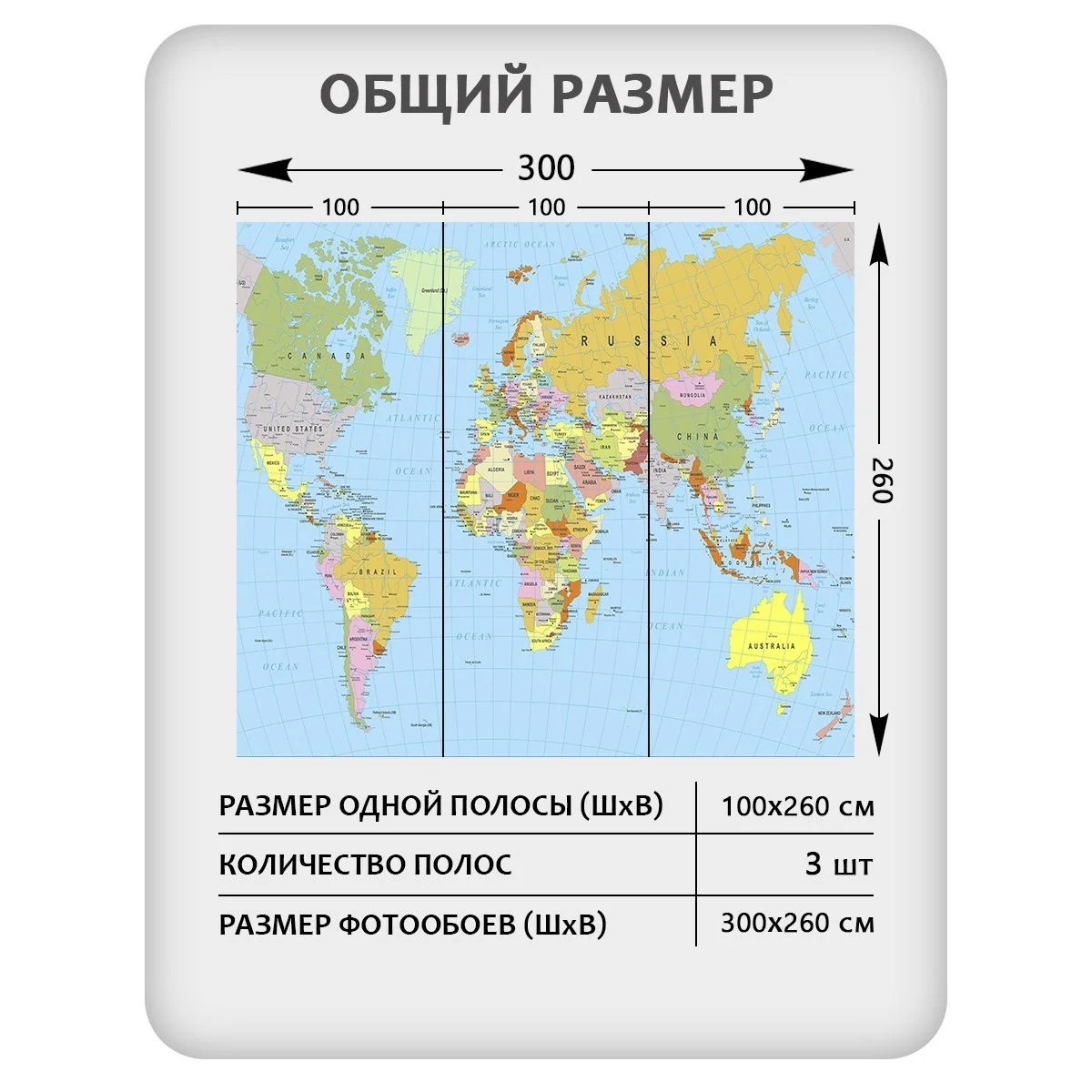 Фотообои рулонные Citydecor Карта мира 16 на флизелиновой основе 300x260 см