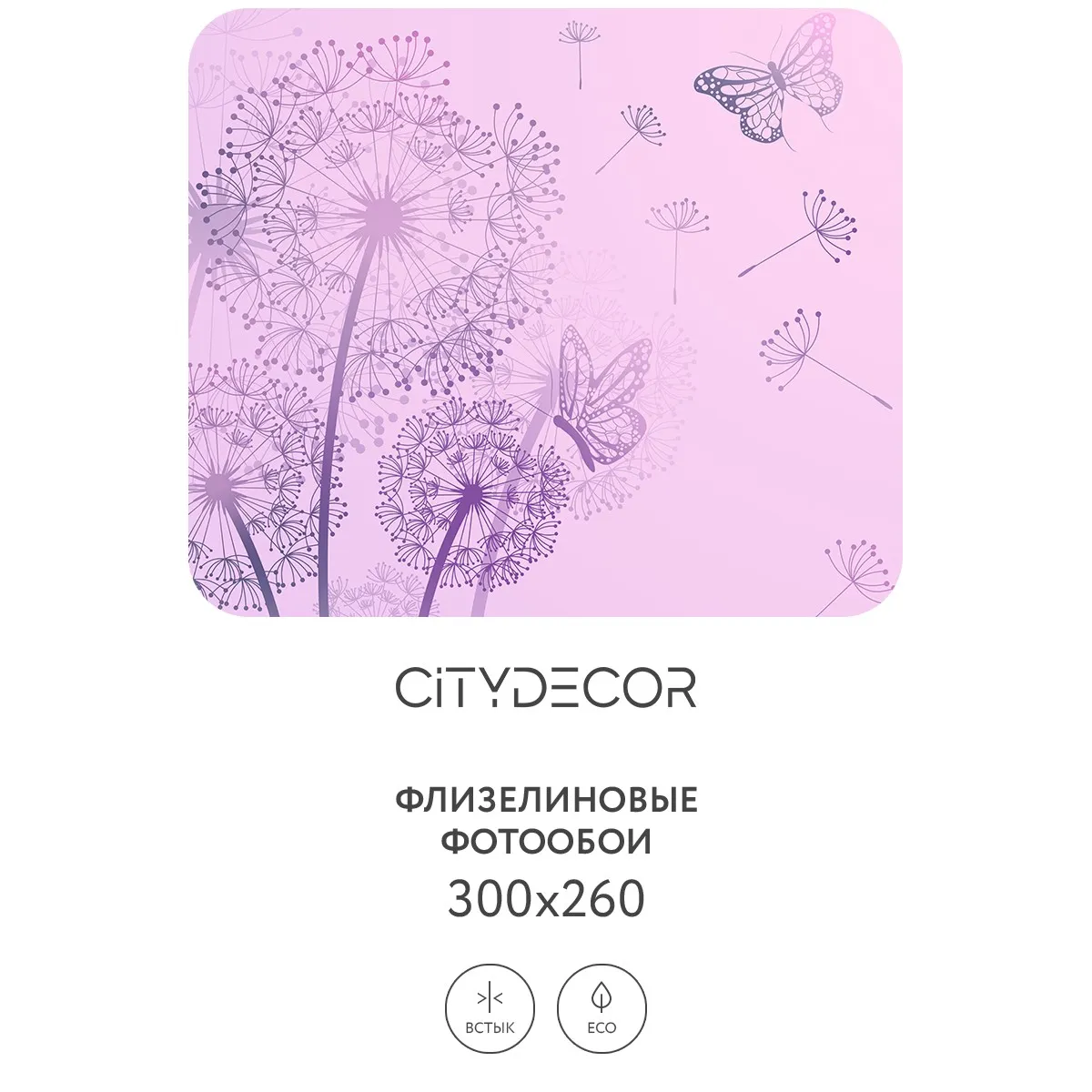 Фотообои рулонные Citydecor Невесомость 10 на флизелиновой основе 300x260 см