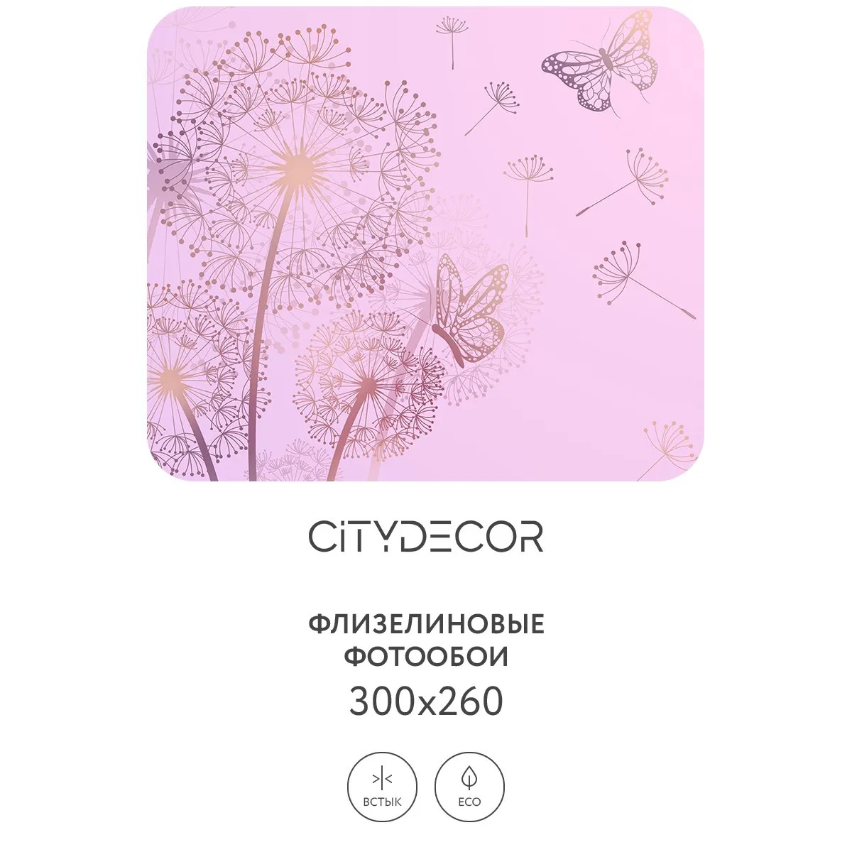 Фотообои рулонные Citydecor Невесомость 11 на флизелиновой основе 300x260 см