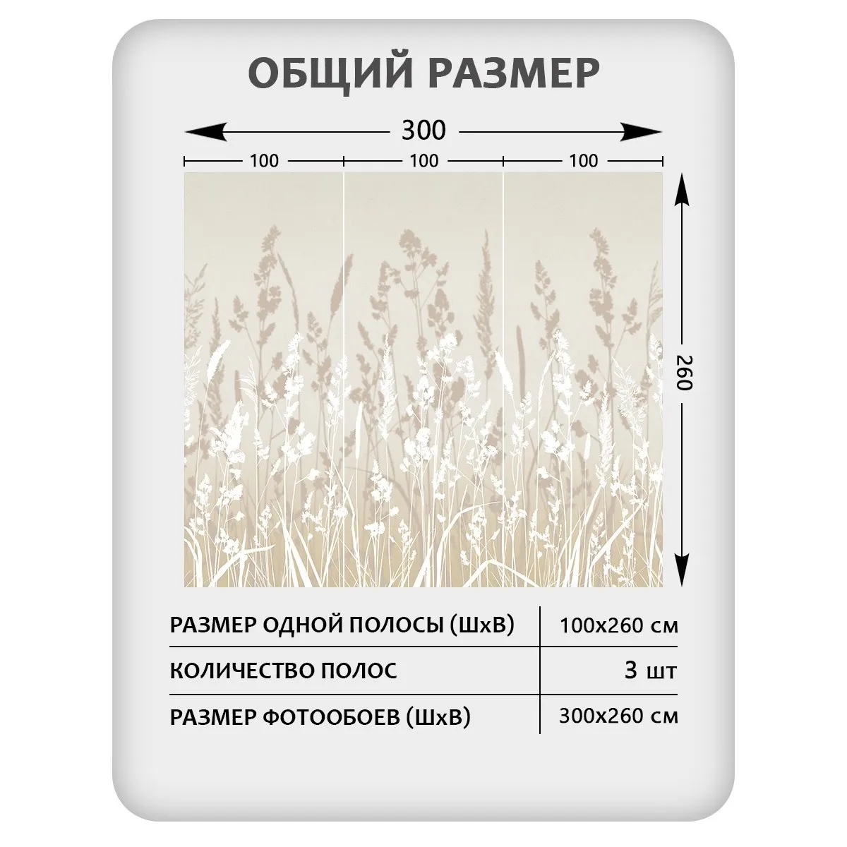 Фотообои рулонные Citydecor Невесомость 14 на флизелиновой основе 300x260 см