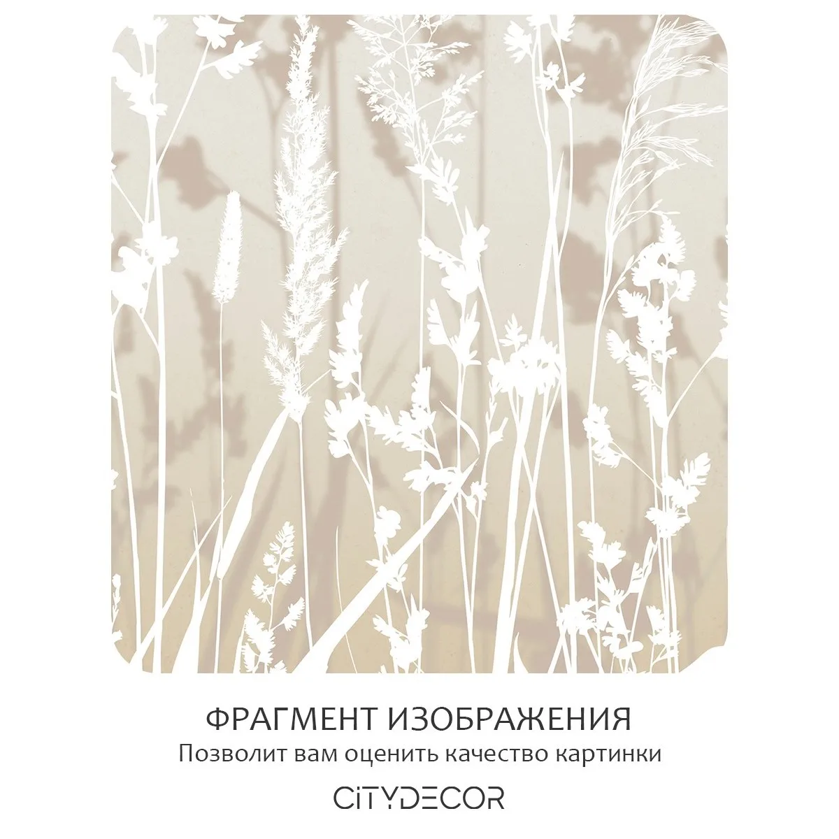 Фотообои рулонные Citydecor Невесомость 14 на флизелиновой основе 300x260 см