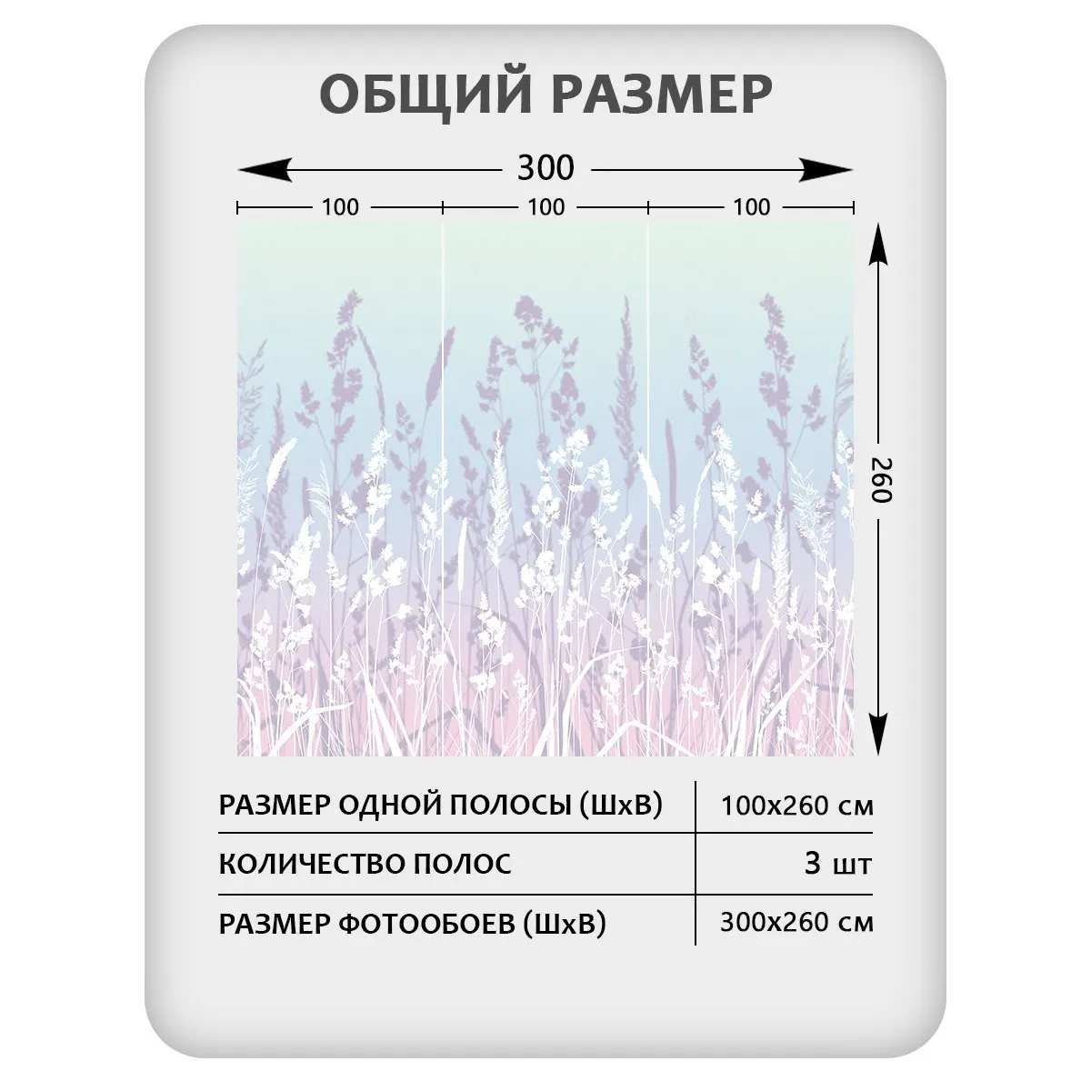 Фотообои рулонные Citydecor Невесомость 15 на флизелиновой основе 300x260 см