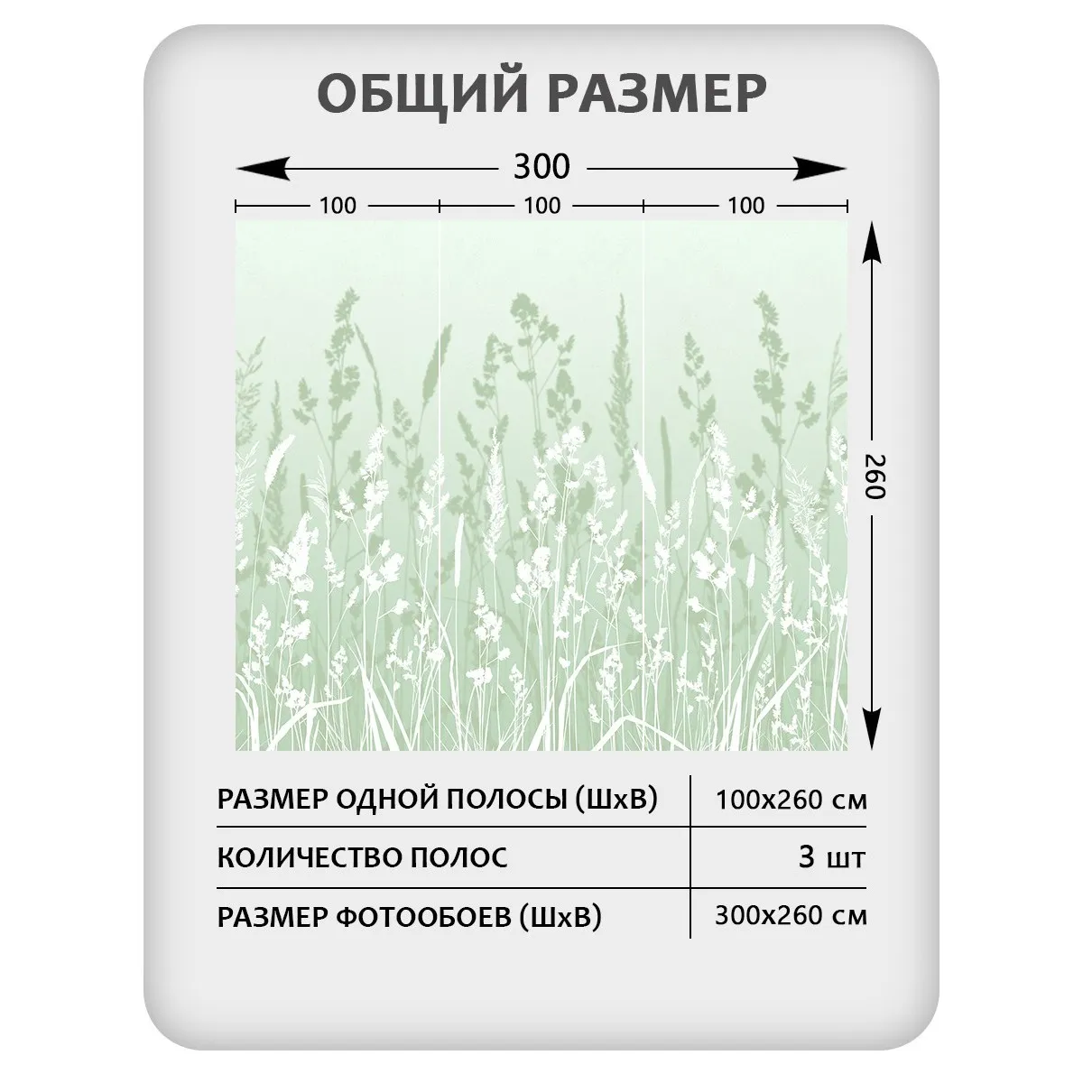 Фотообои рулонные Citydecor Невесомость 16 на флизелиновой основе 300x260 см