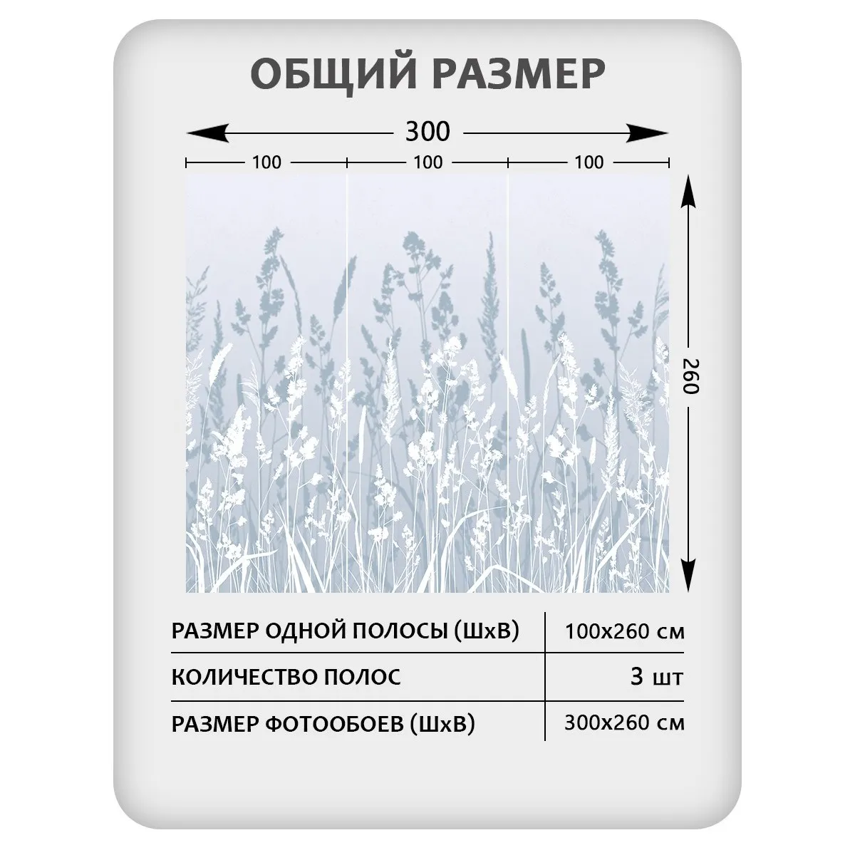 Фотообои рулонные Citydecor Невесомость 17 на флизелиновой основе 300x260 см