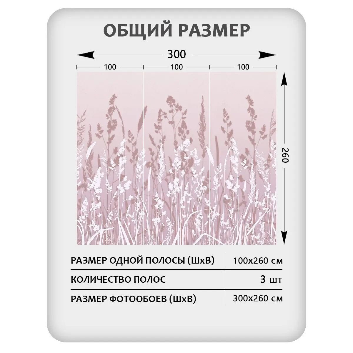 Фотообои рулонные Citydecor Невесомость 18 на флизелиновой основе 300x260 см