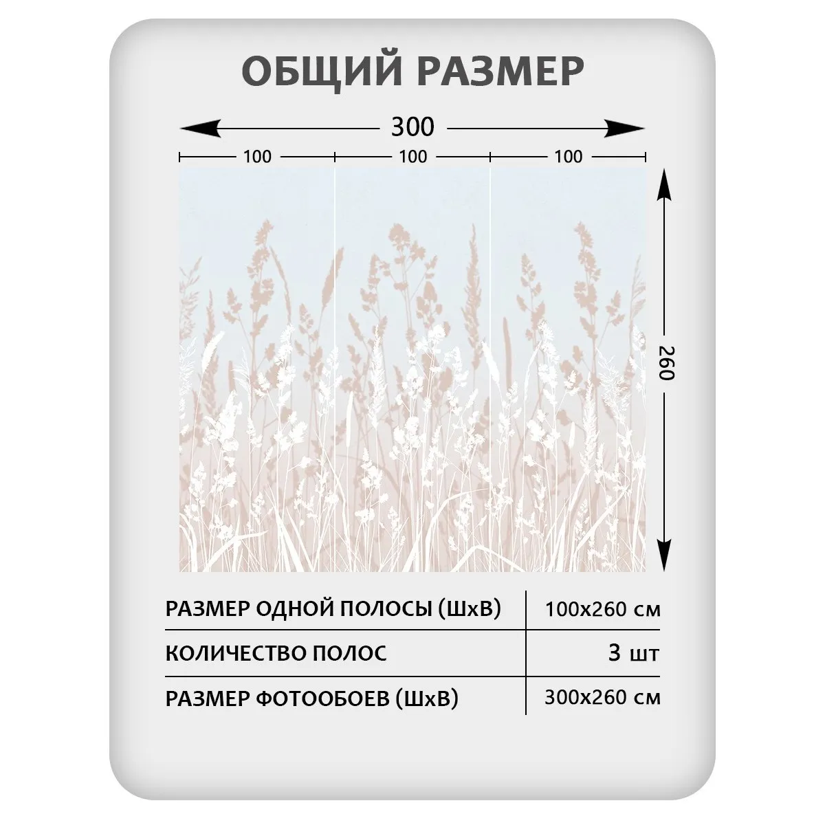 Фотообои рулонные Citydecor Невесомость 19 на флизелиновой основе 300x260 см