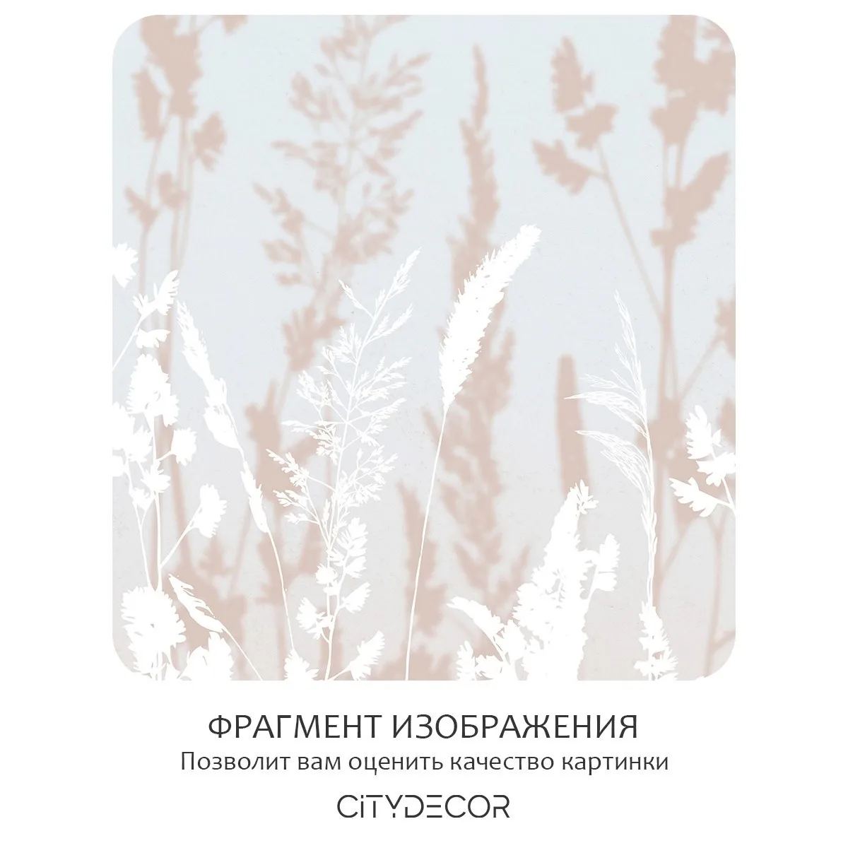 Фотообои рулонные Citydecor Невесомость 19 на флизелиновой основе 300x260 см