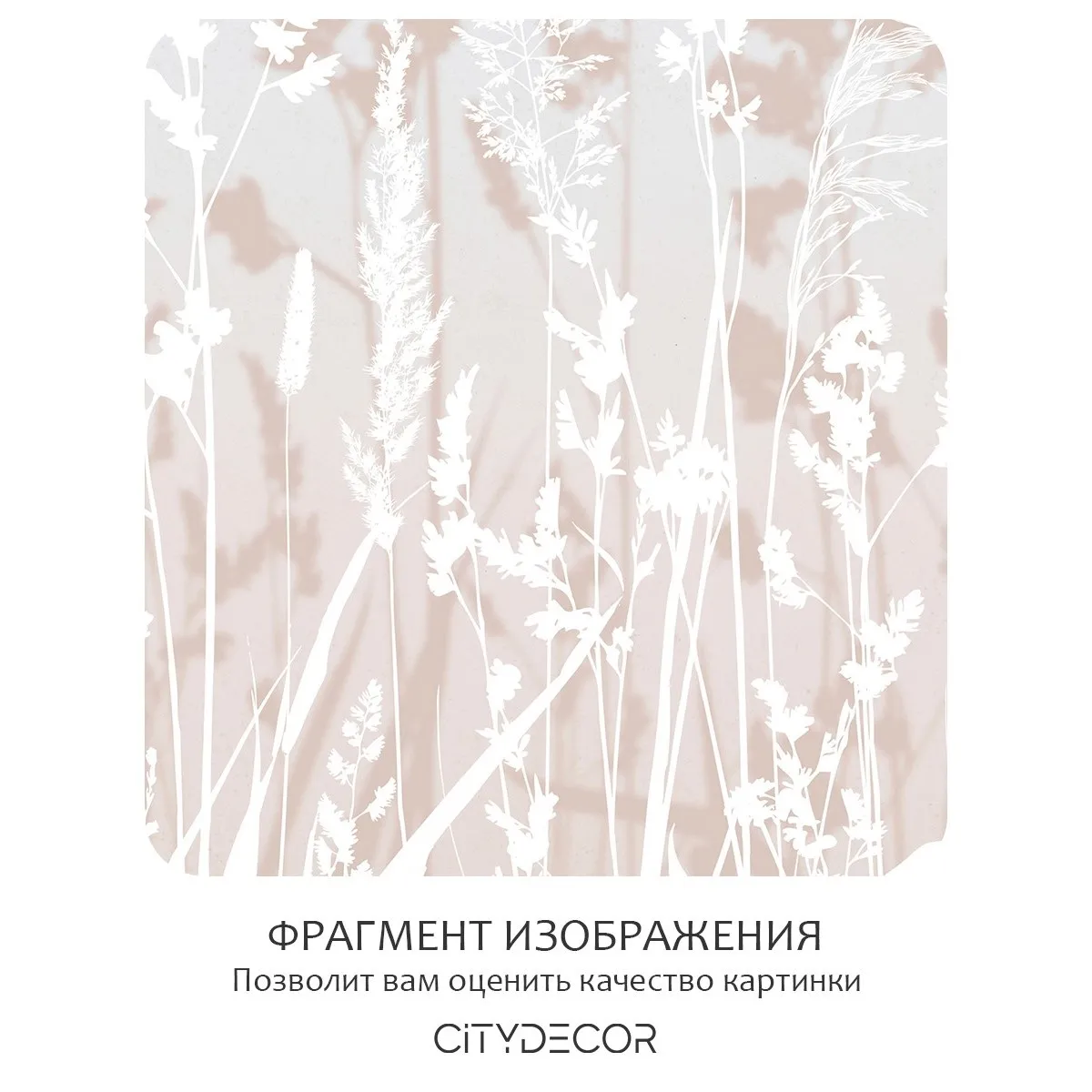 Фотообои рулонные Citydecor Невесомость 19 на флизелиновой основе 300x260 см