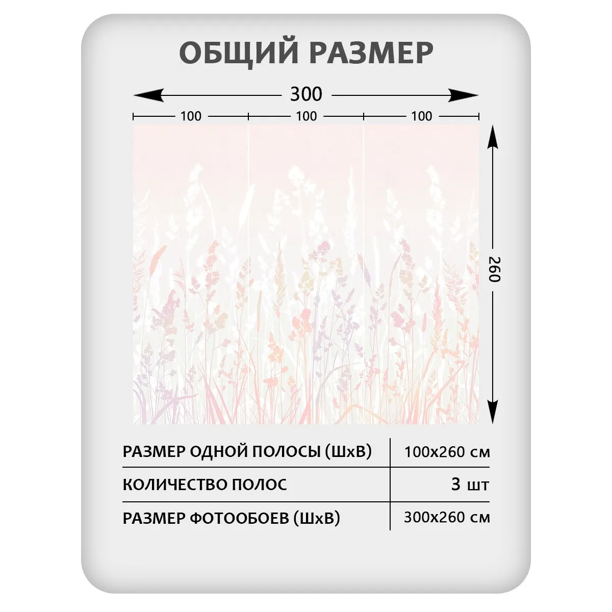 Фотообои рулонные Citydecor Невесомость 20 на флизелиновой основе 300x260 см