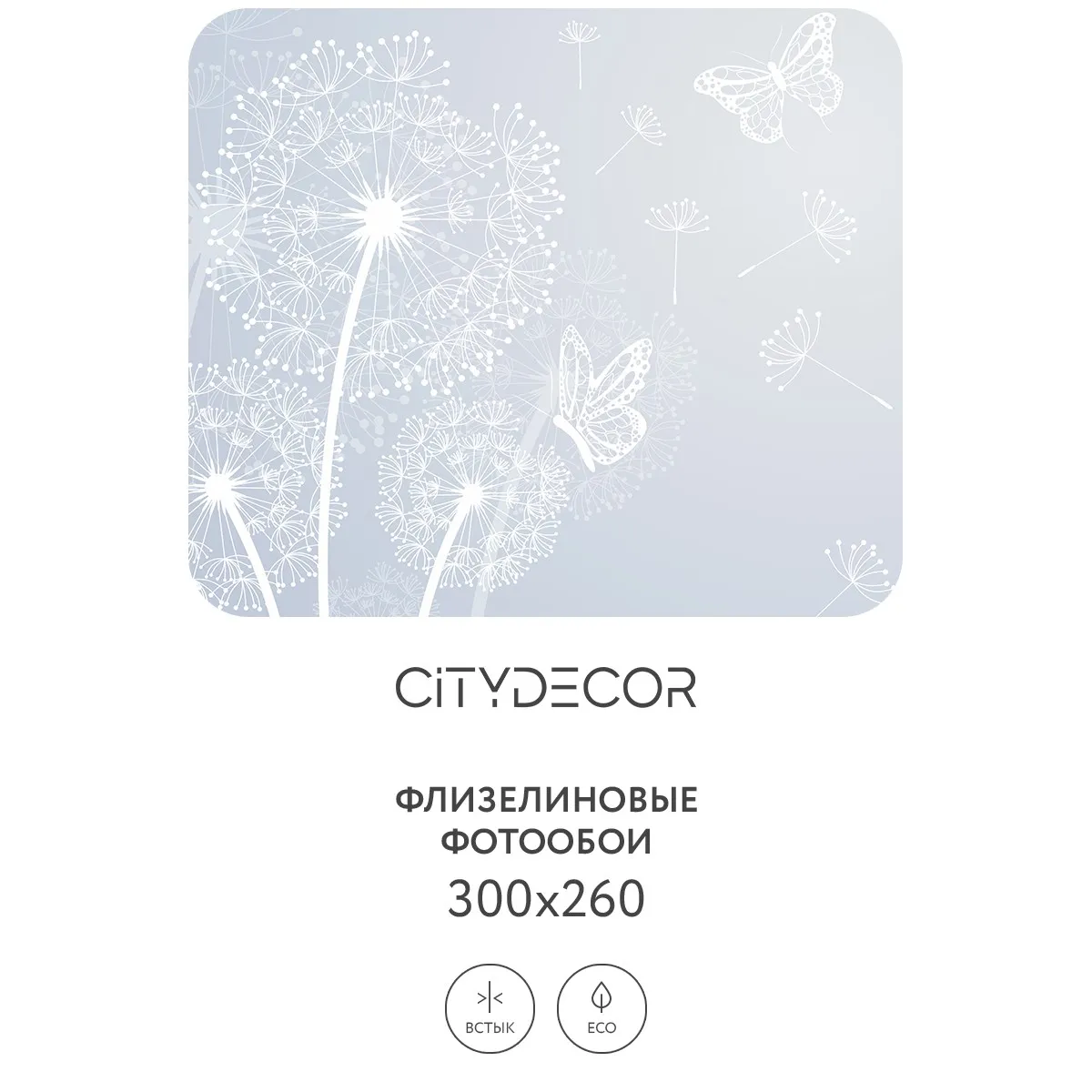 Фотообои рулонные Citydecor Невесомость 3 на флизелиновой основе 300x260 см
