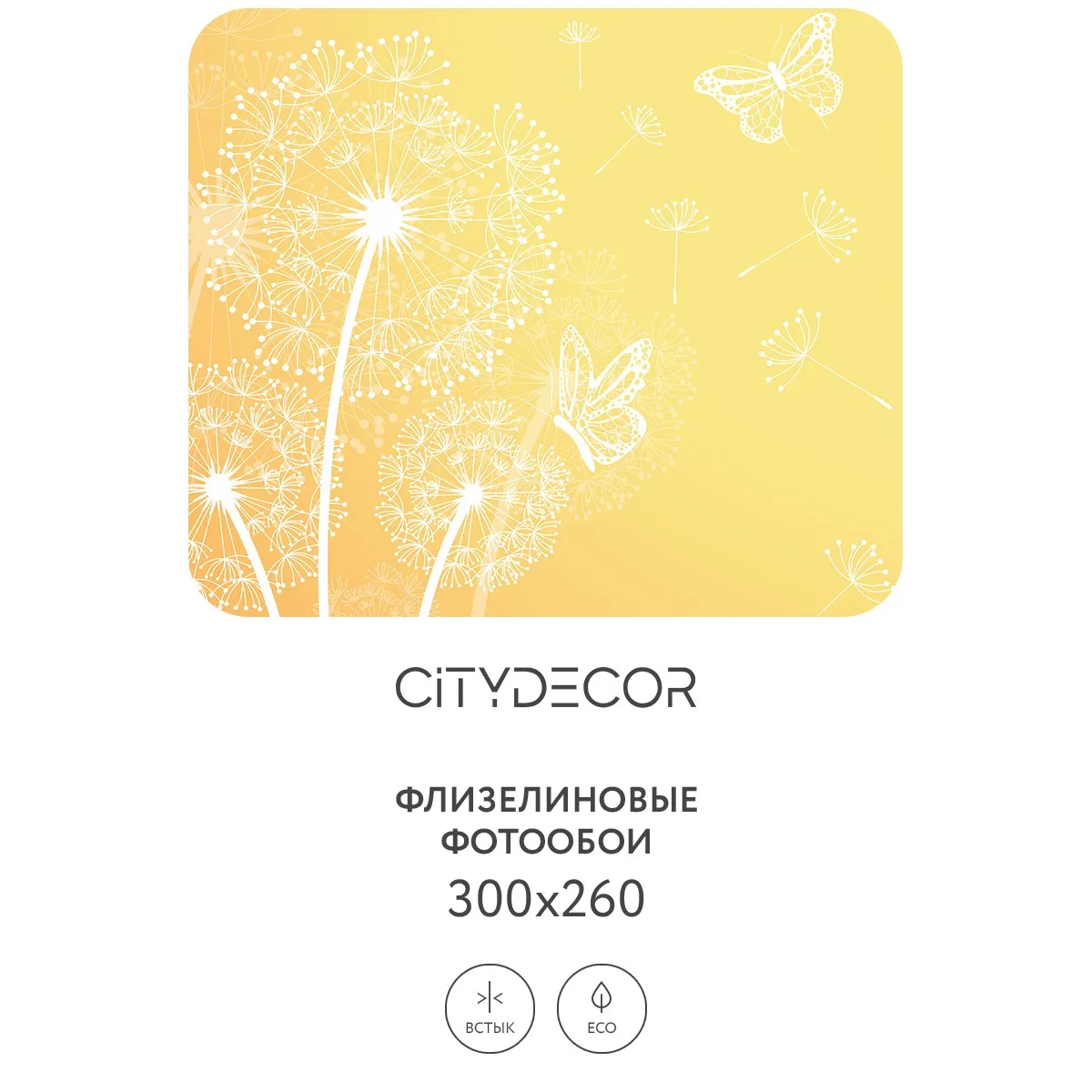 Фотообои рулонные Citydecor Невесомость 4 на флизелиновой основе 300x260 см