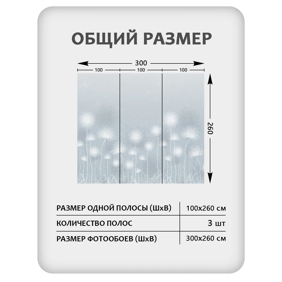 Фотообои рулонные Citydecor Невесомость 42 на флизелиновой основе 300x260 см