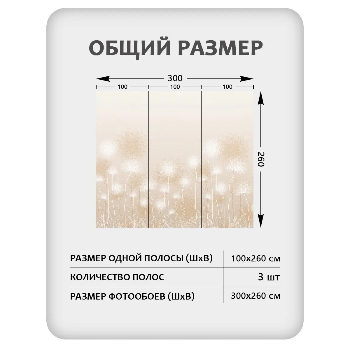 Фотообои рулонные Citydecor Невесомость 43 на флизелиновой основе 300x260 см