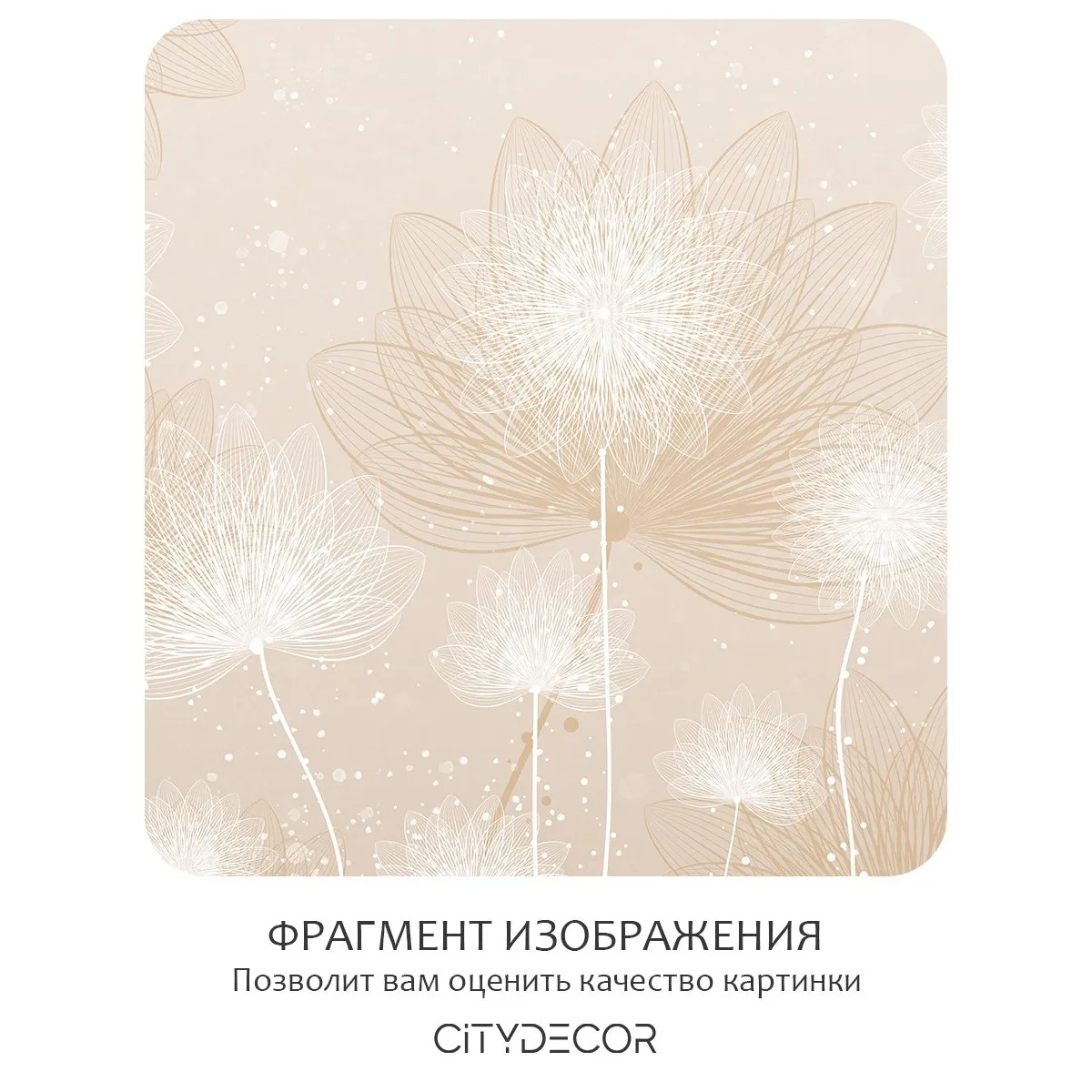 Фотообои рулонные Citydecor Невесомость 43 на флизелиновой основе 300x260 см