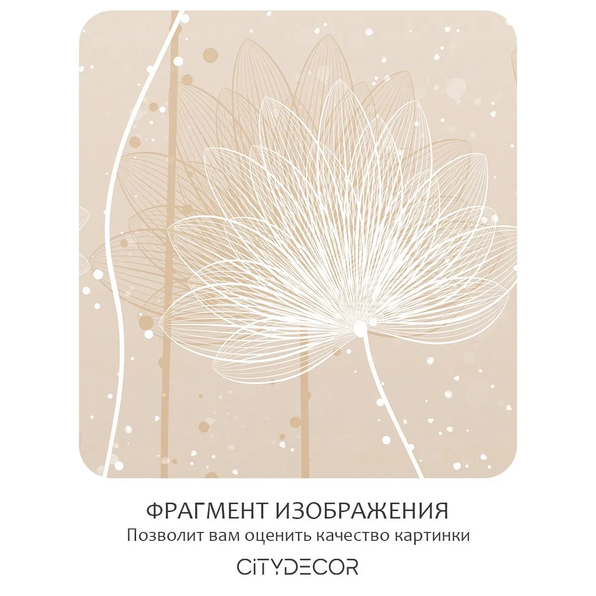 Фотообои рулонные Citydecor Невесомость 43 на флизелиновой основе 300x260 см