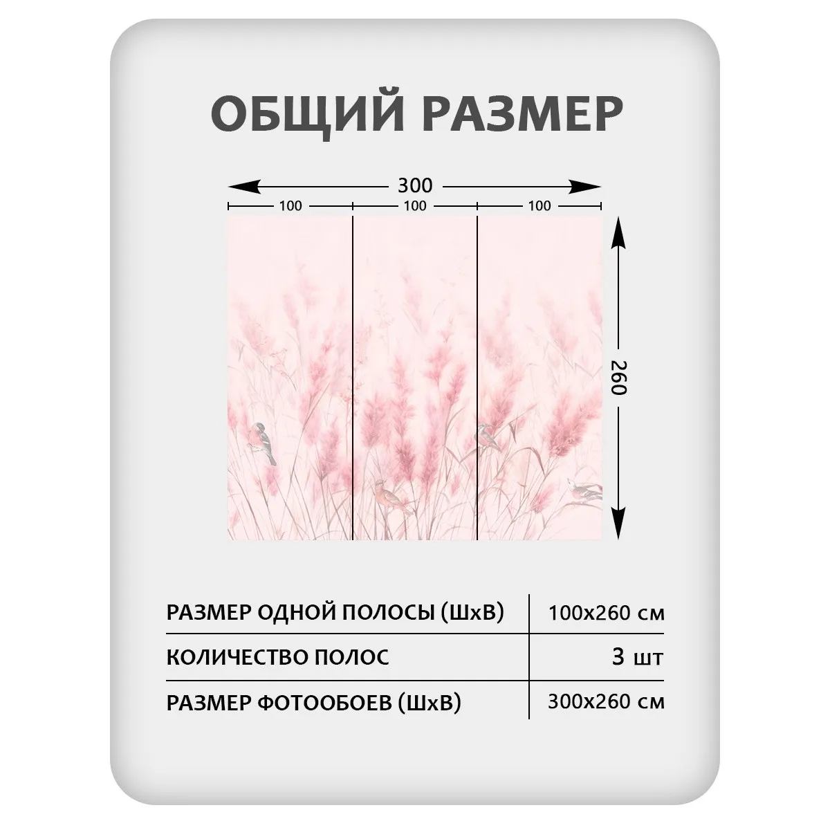 Фотообои рулонные Citydecor Невесомость 44 на флизелиновой основе 300x260 см