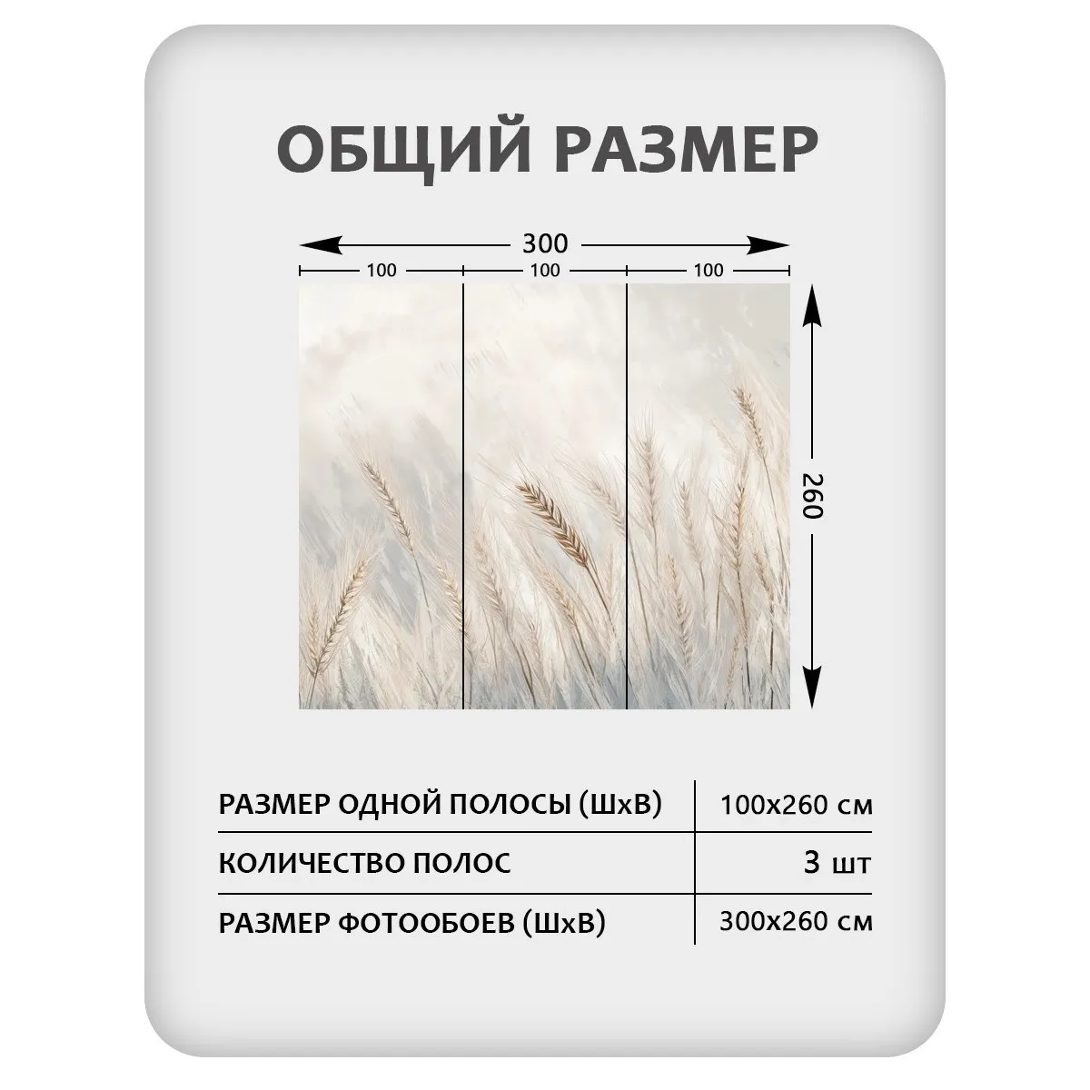 Фотообои рулонные Citydecor Невесомость 45 на флизелиновой основе 300x260 см