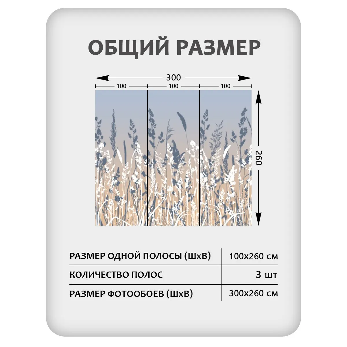 Фотообои рулонные Citydecor Невесомость 46 на флизелиновой основе 300x260 см