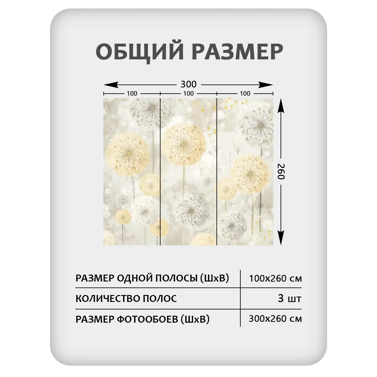 Фотообои рулонные Citydecor Невесомость 47 на флизелиновой основе 300x260 см