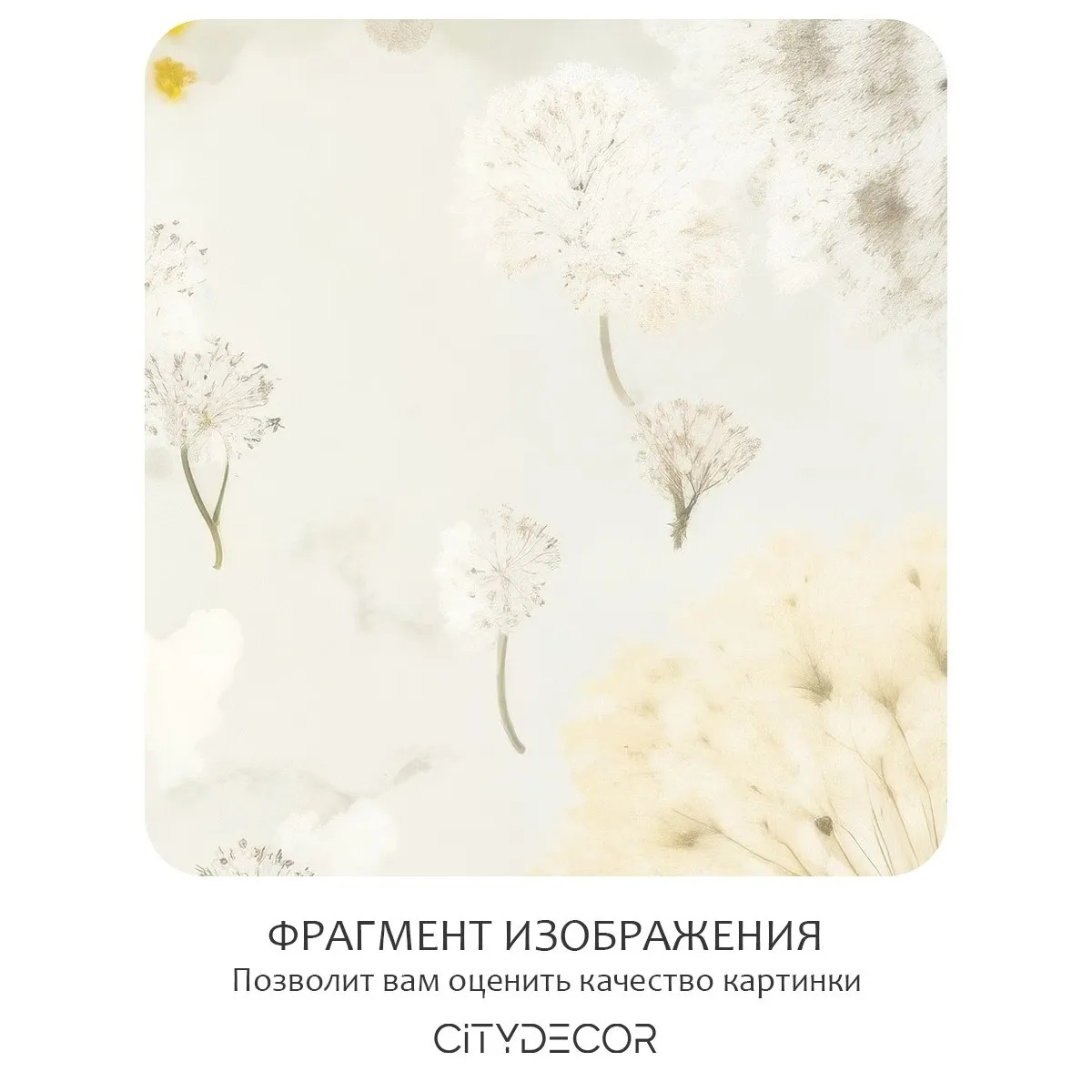 Фотообои рулонные Citydecor Невесомость 47 на флизелиновой основе 300x260 см