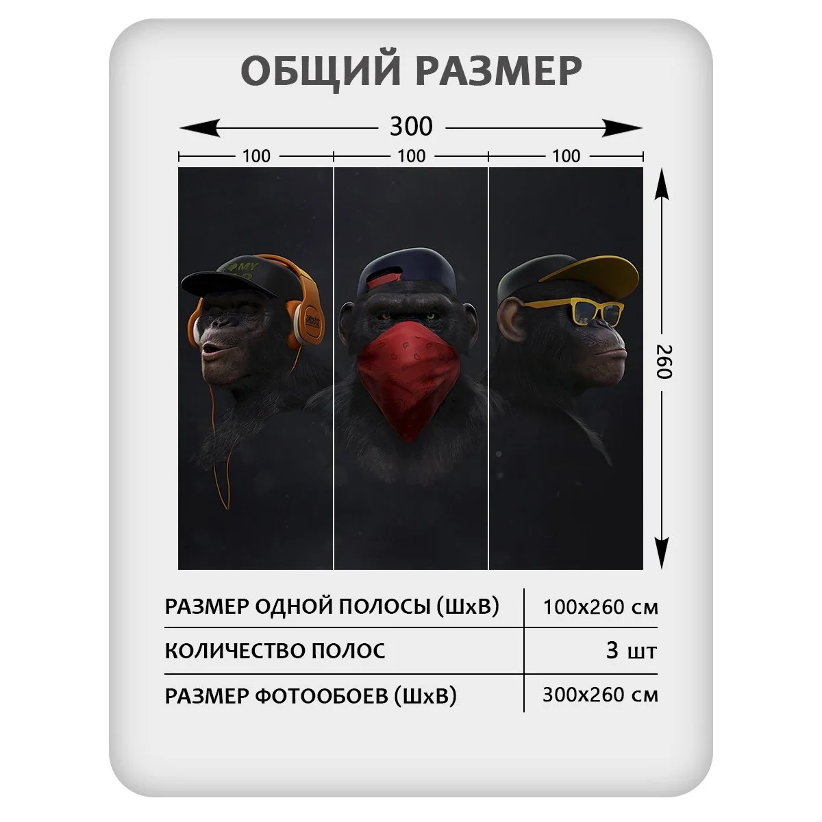 Фотообои рулонные Citydecor Люди и Знаменитости 4 на флизелиновой основе 300x260 см