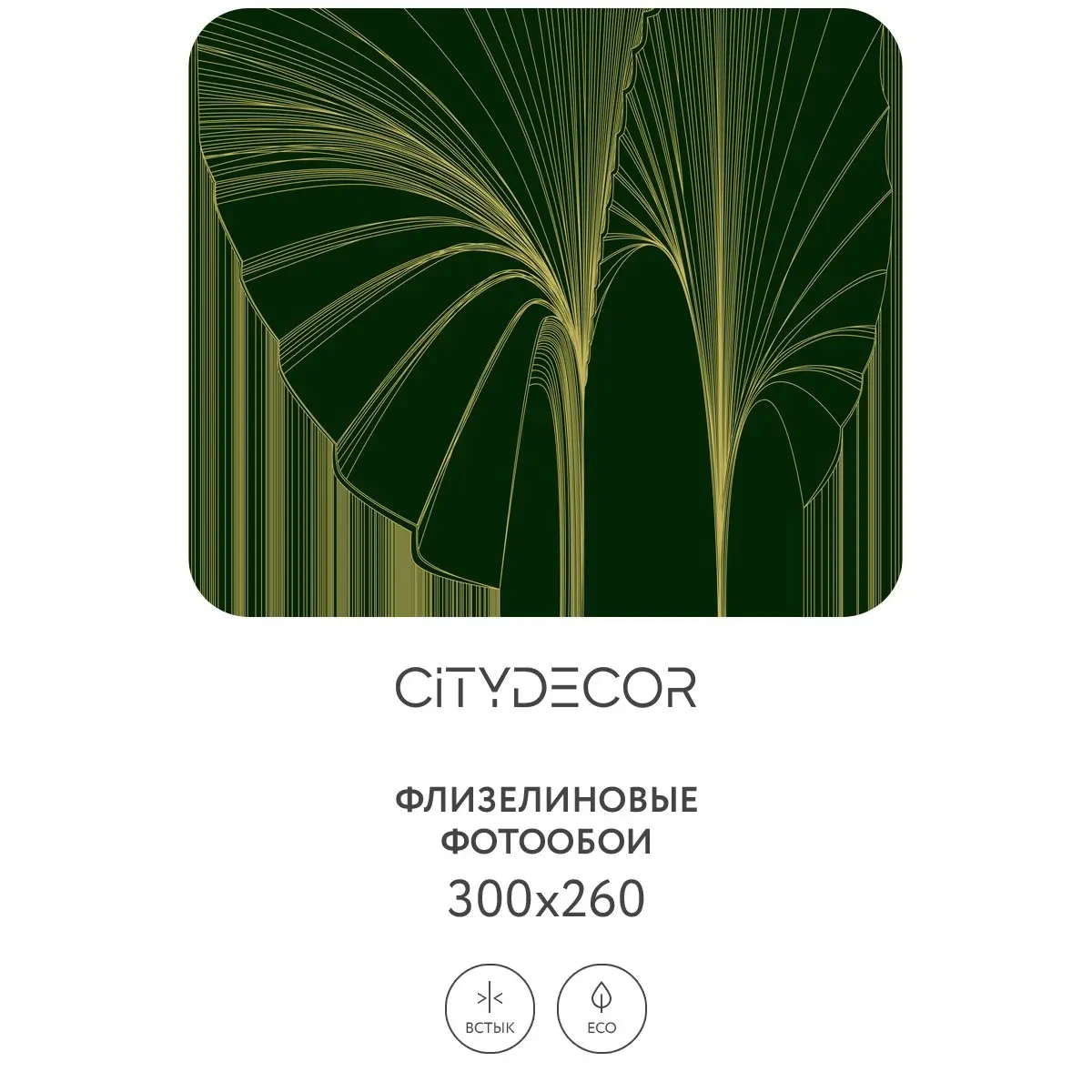 Фотообои рулонные Citydecor Perfect Lines 24 на флизелиновой основе 300x260 см