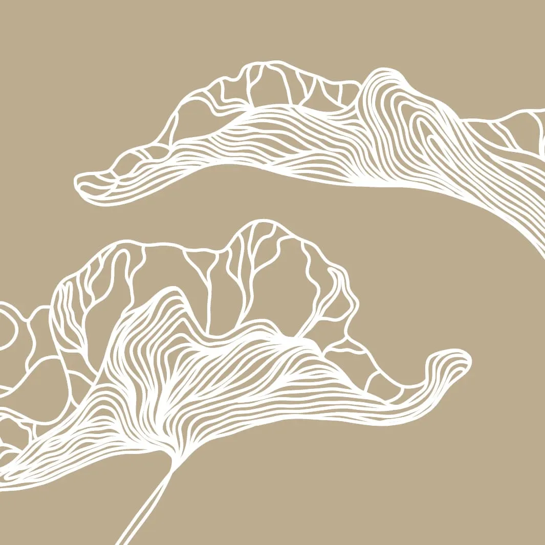 Дизайнерские фотообои рулонные Citydecor Perfect Lines 3 на флизелиновой основе 300x260 см