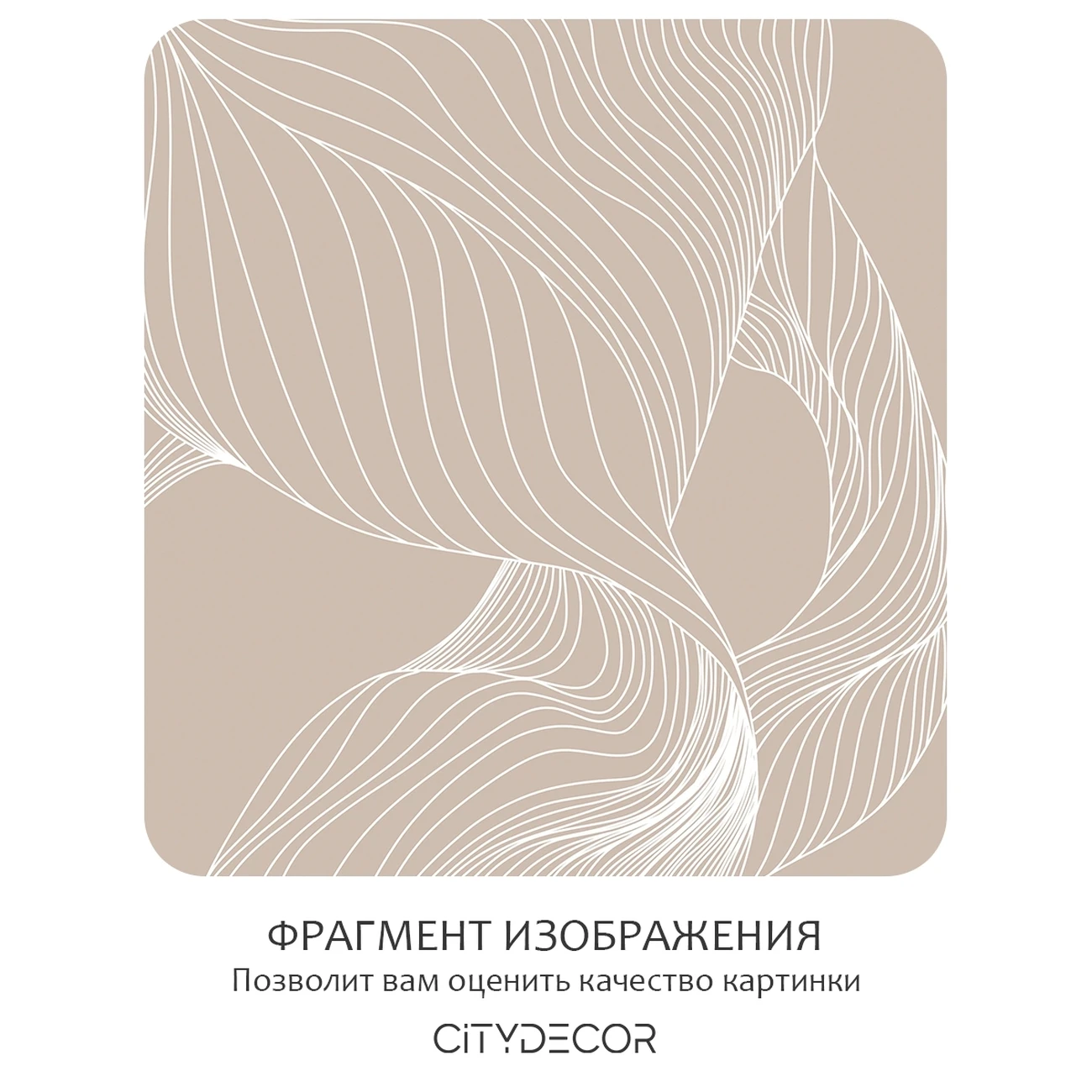 Фотообои рулонные Citydecor Perfect Lines 51 на флизелиновой основе 300x260 см