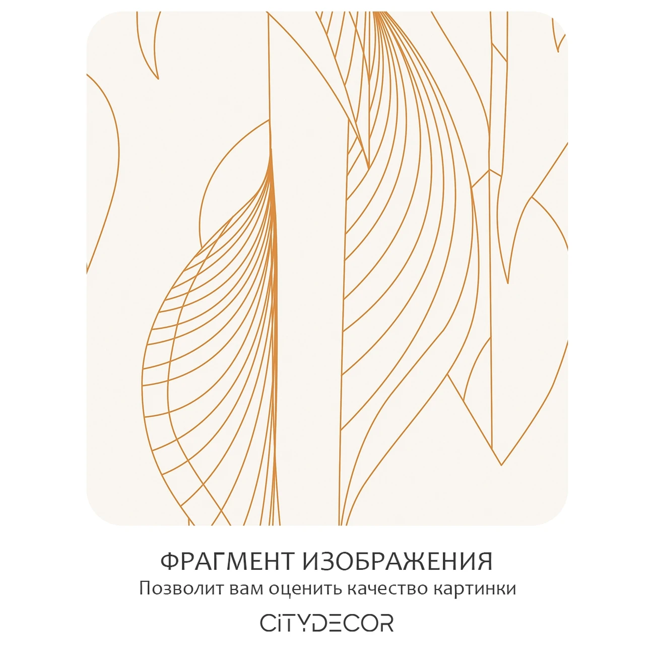 Фотообои рулонные Citydecor Perfect Lines 64 на флизелиновой основе 300x260 см
