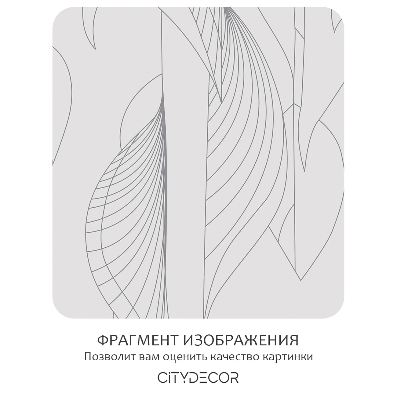 Фотообои рулонные Citydecor Perfect Lines 65 на флизелиновой основе 300x260 см