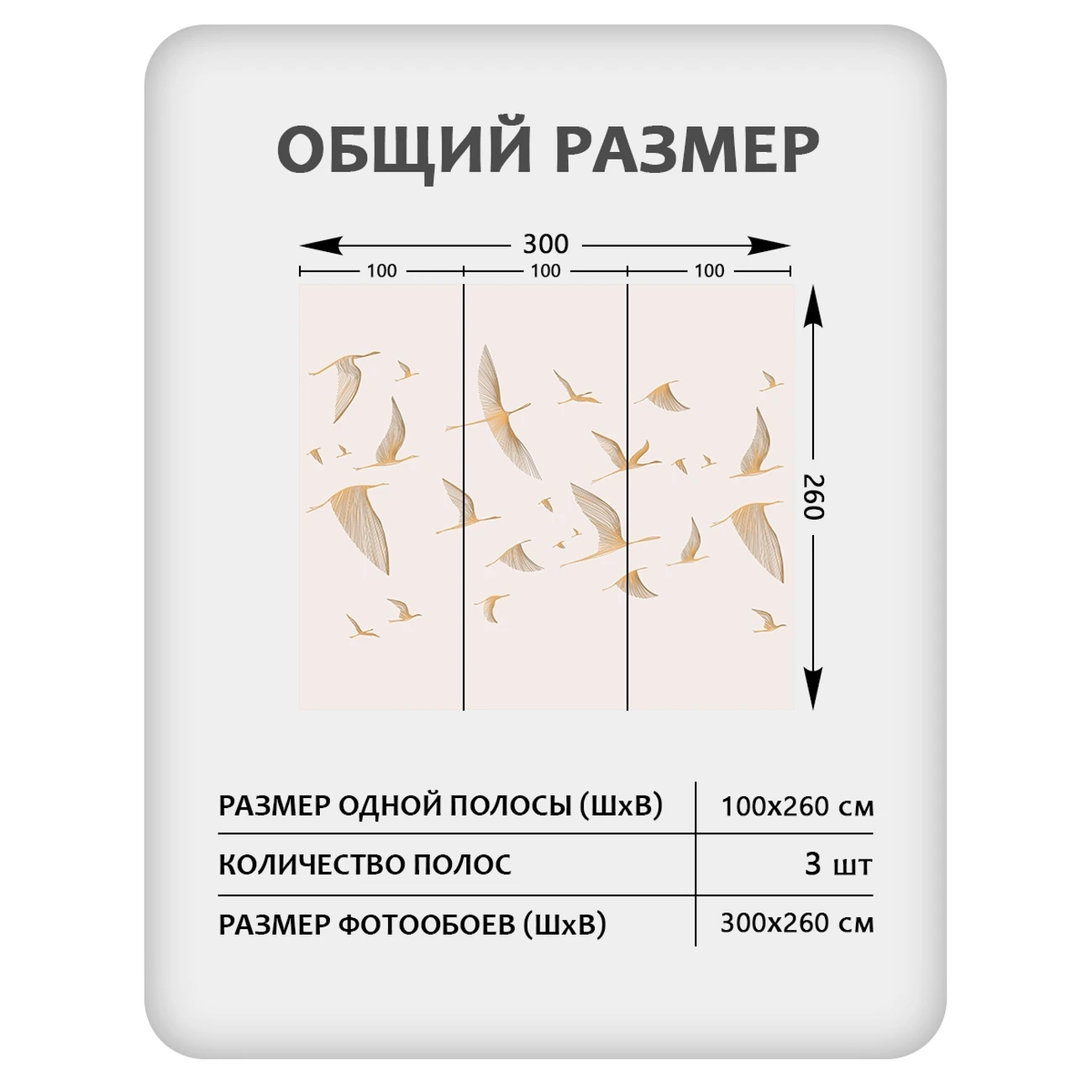 Фотообои рулонные Citydecor Perfect Lines 67 на флизелиновой основе 300x260 см