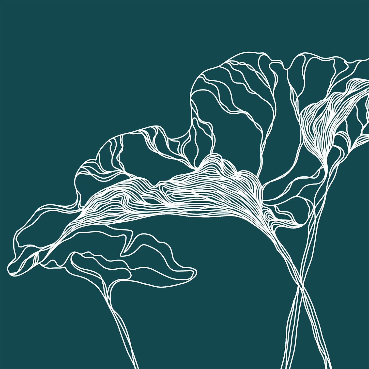 Дизайнерские фотообои рулонные Citydecor Perfect Lines 6 на флизелиновой основе 300x260 см