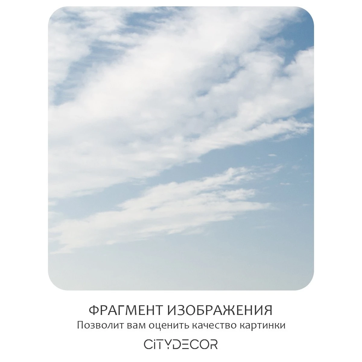 Бесшовное панно Citydecor Природа 13 на флизелиновой основе 300x270 см