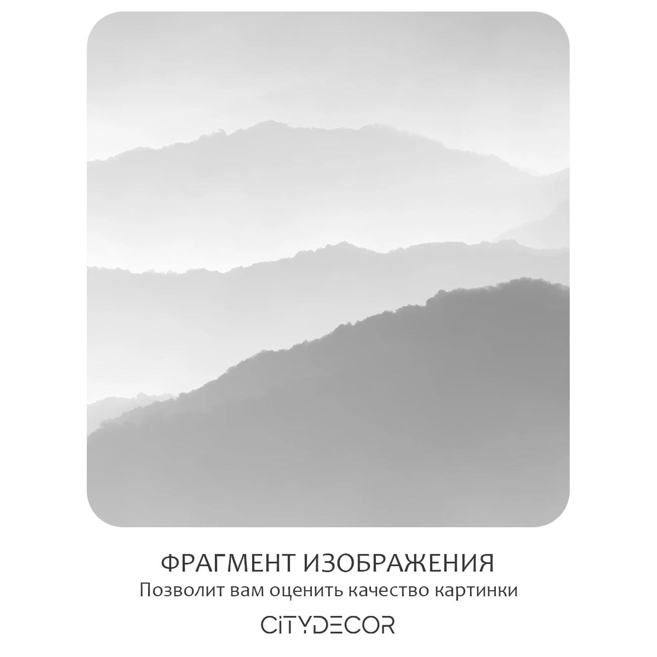 Фотообои рулонные Citydecor Природа 144 на флизелиновой основе 300x260 см