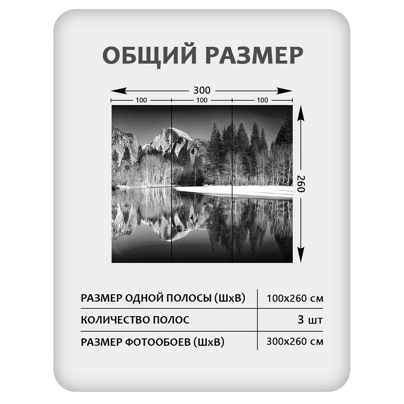 Фотообои рулонные Citydecor Природа 146 на флизелиновой основе 300x260 см