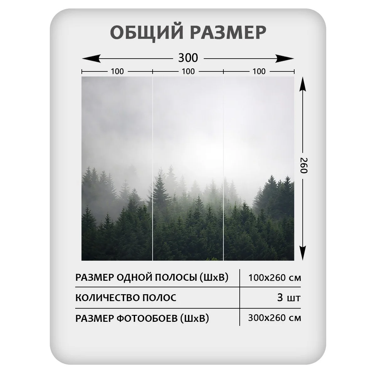 Фотообои рулонные Citydecor Природа 29 на флизелиновой основе 300x260 см