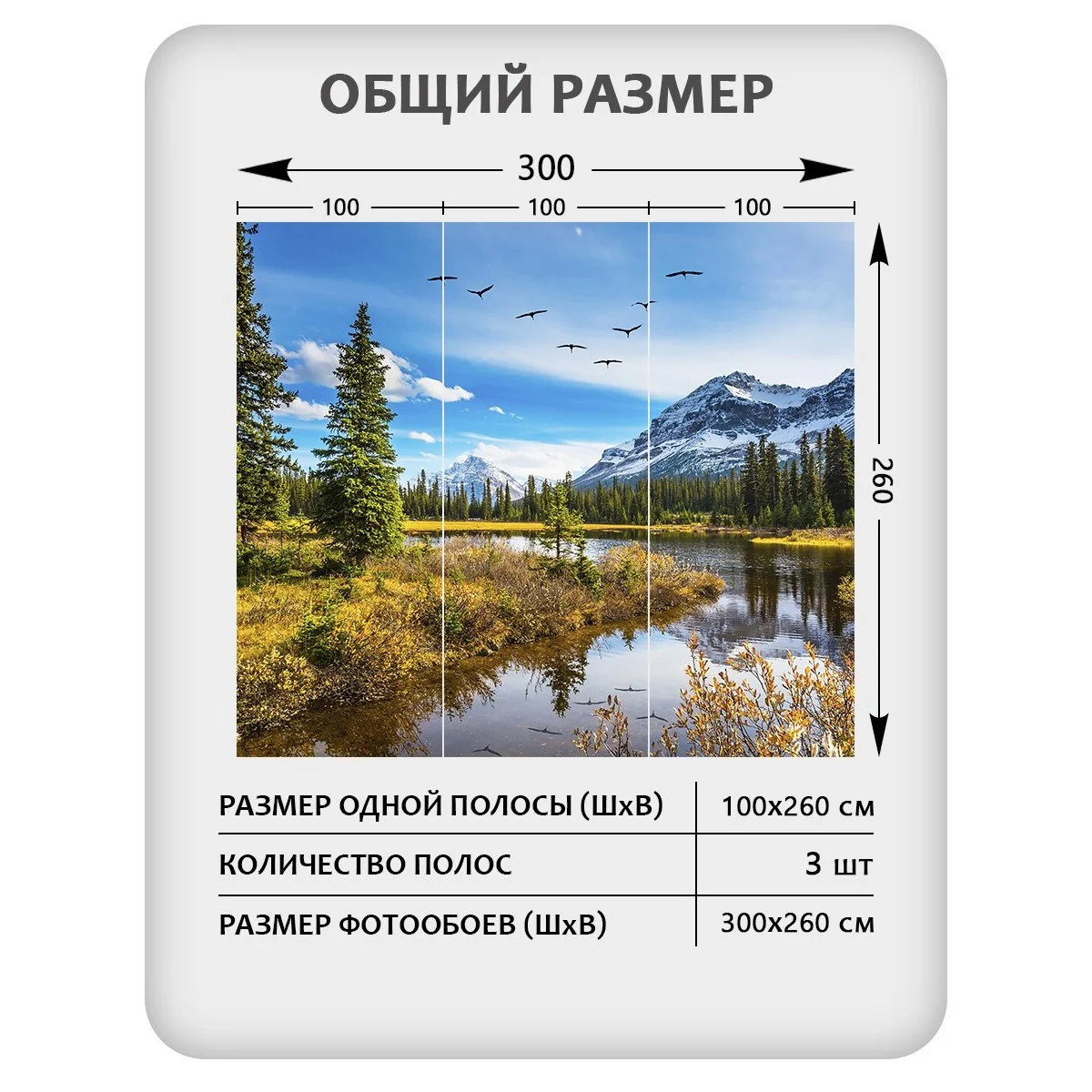 Фотообои рулонные Citydecor Природа 30 на флизелиновой основе 300x260 см