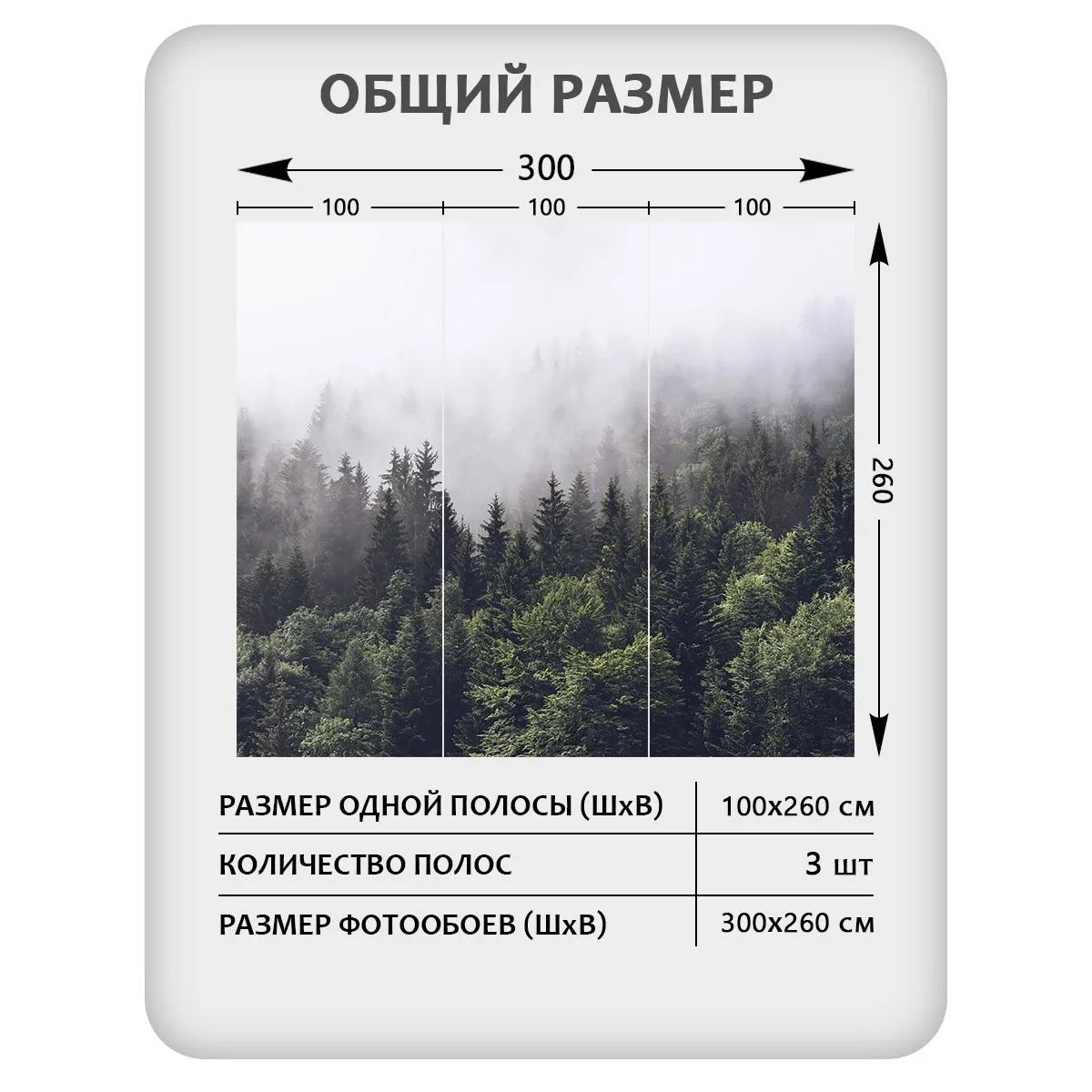 Фотообои рулонные Citydecor Природа 32 на флизелиновой основе 300x260 см