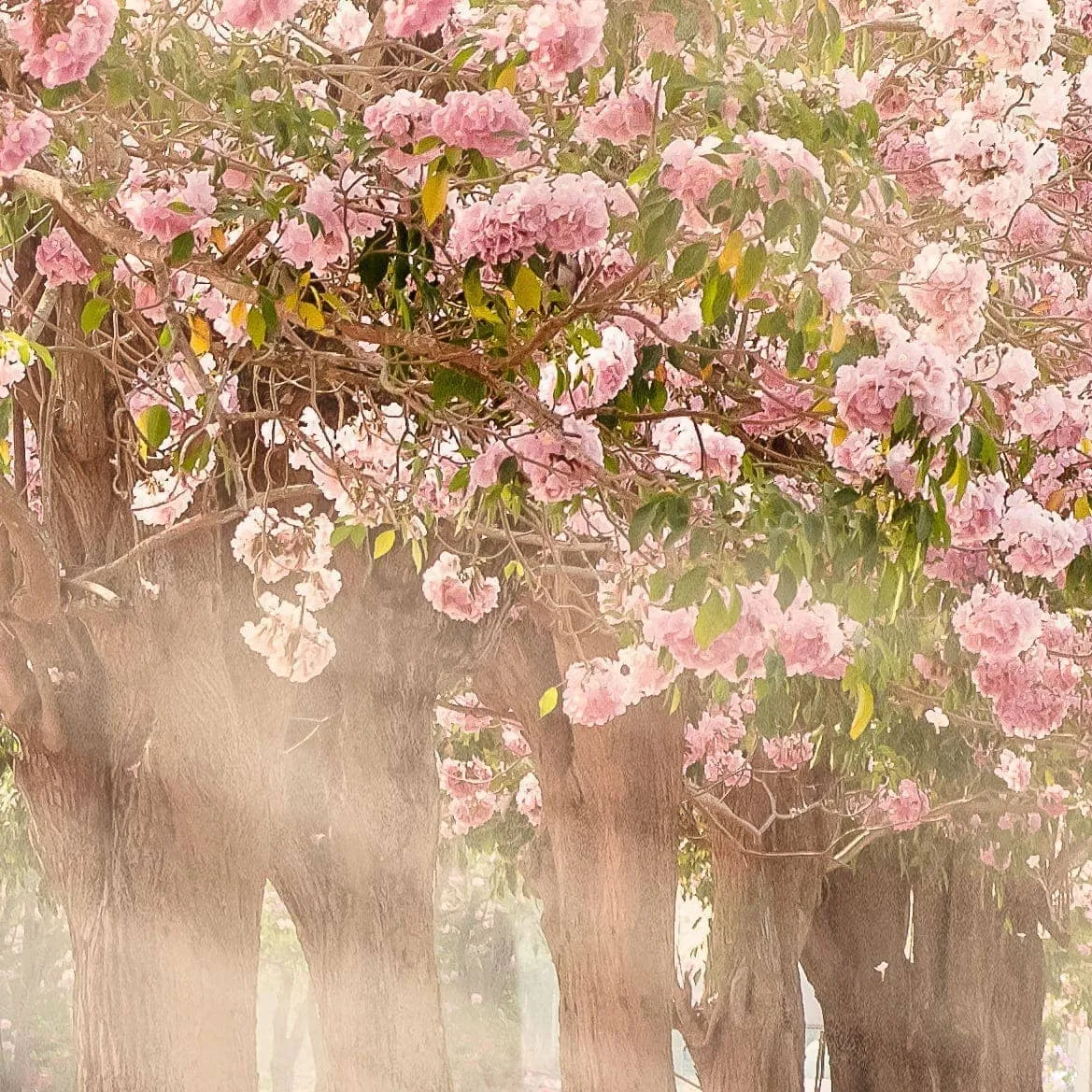 Фотообои рулонные Citydecor Сказочная природа 5 на флизелиновой основе 300x260 см